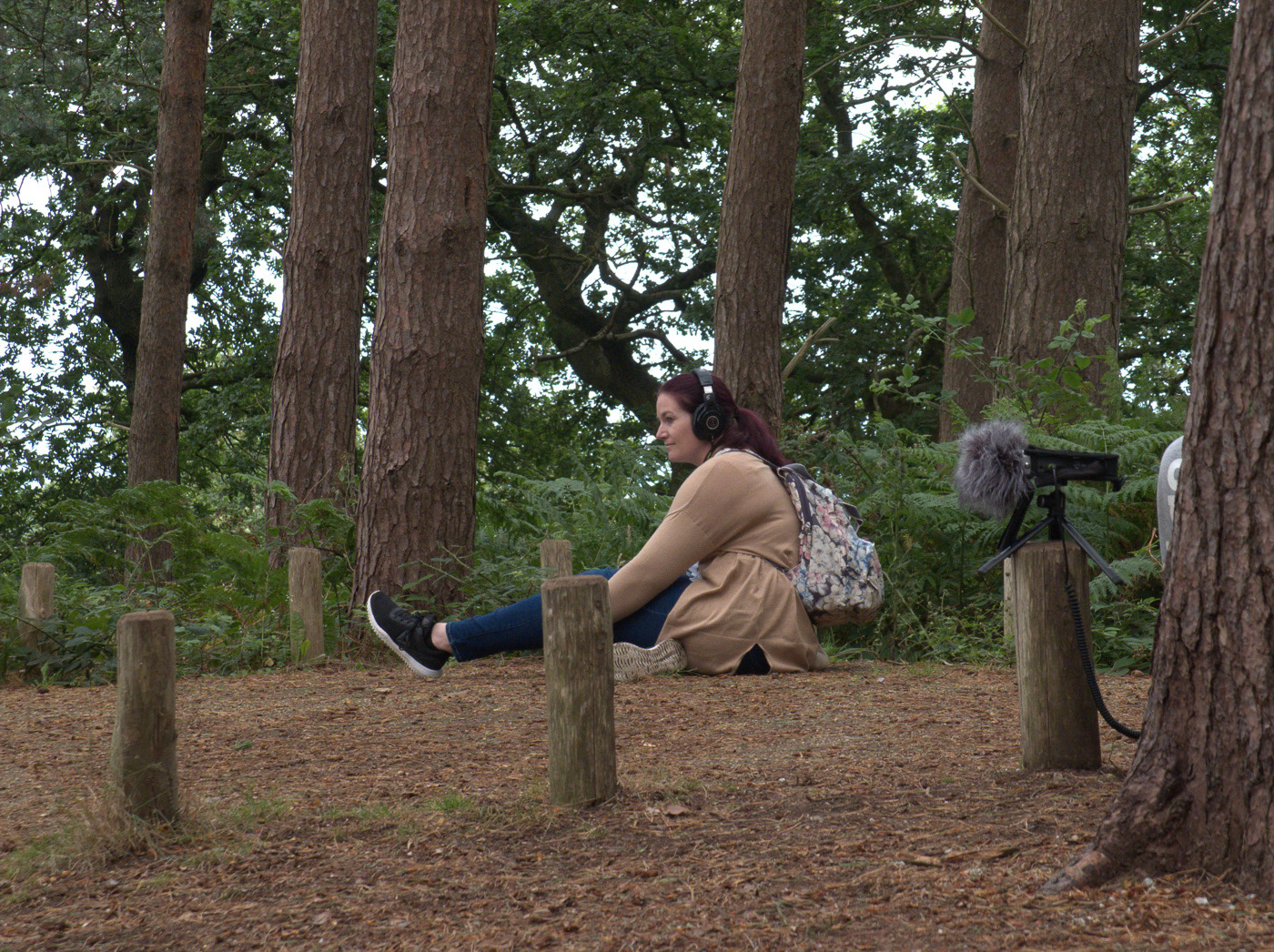 Solo Listening - Sheringham Park