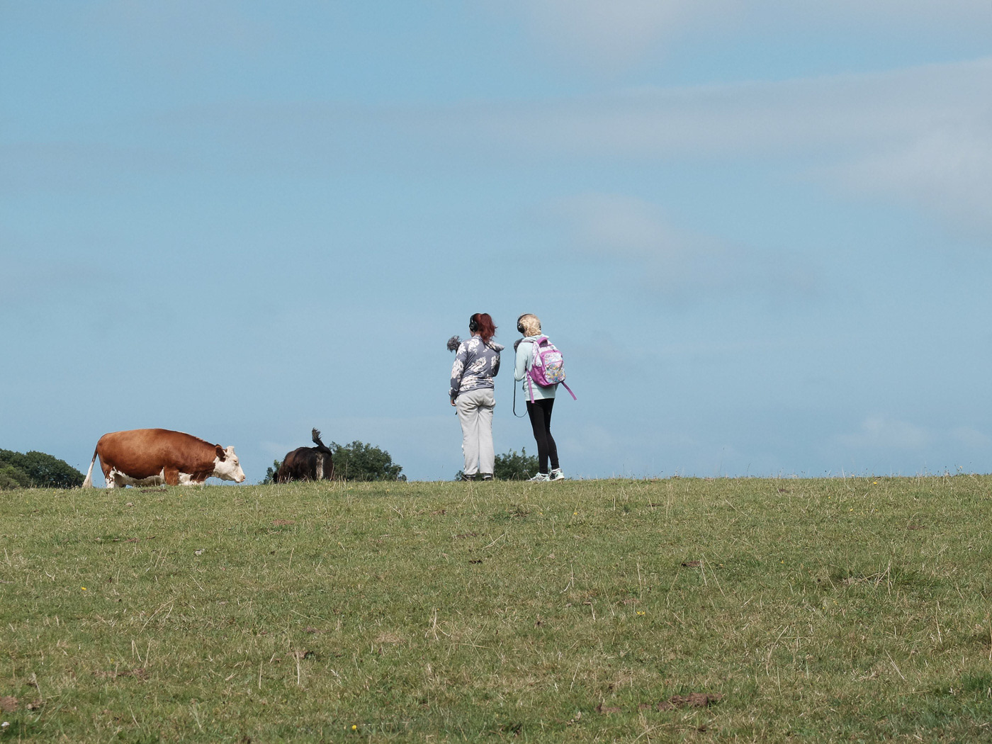Big soundscapes - Sheringham Park