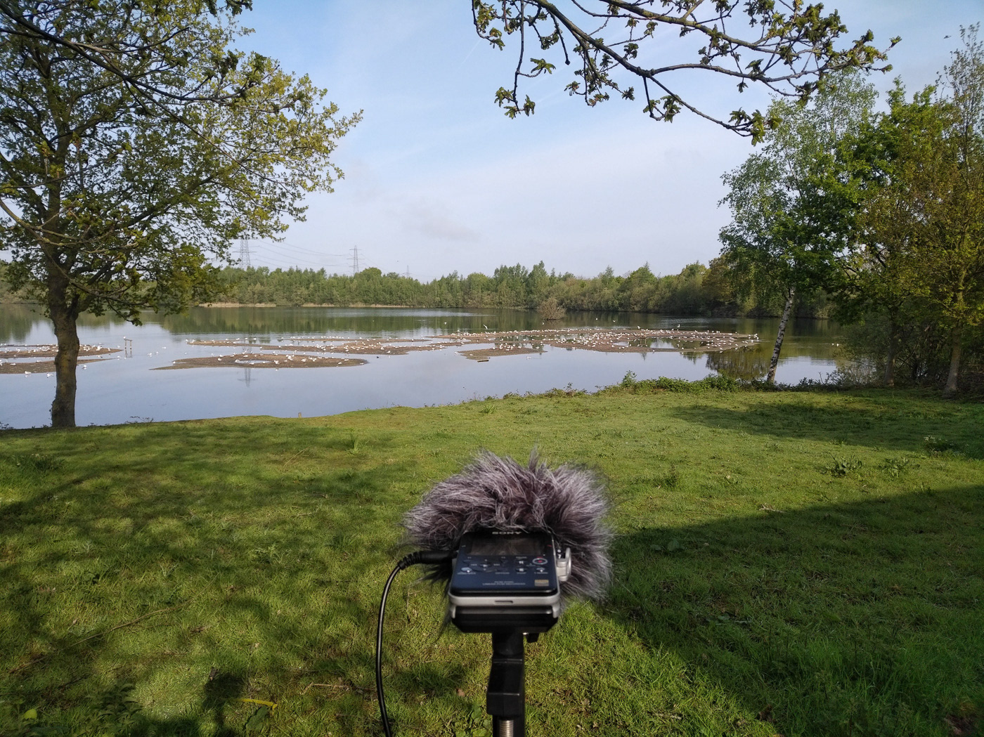 Pre-meeting soundwalk - Lincolnshire Wildlife Trust