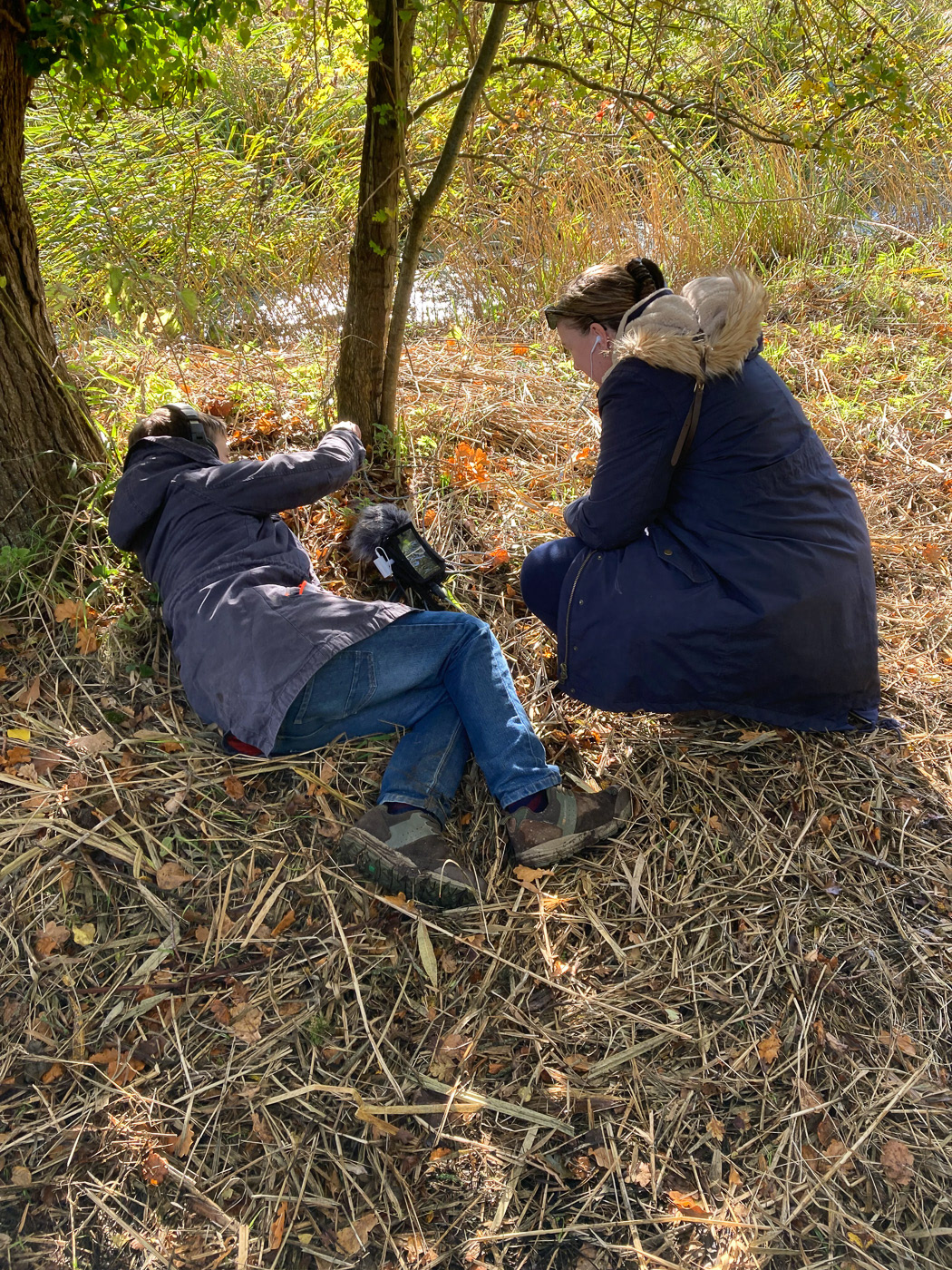 Listening to marshland - Wheatfen