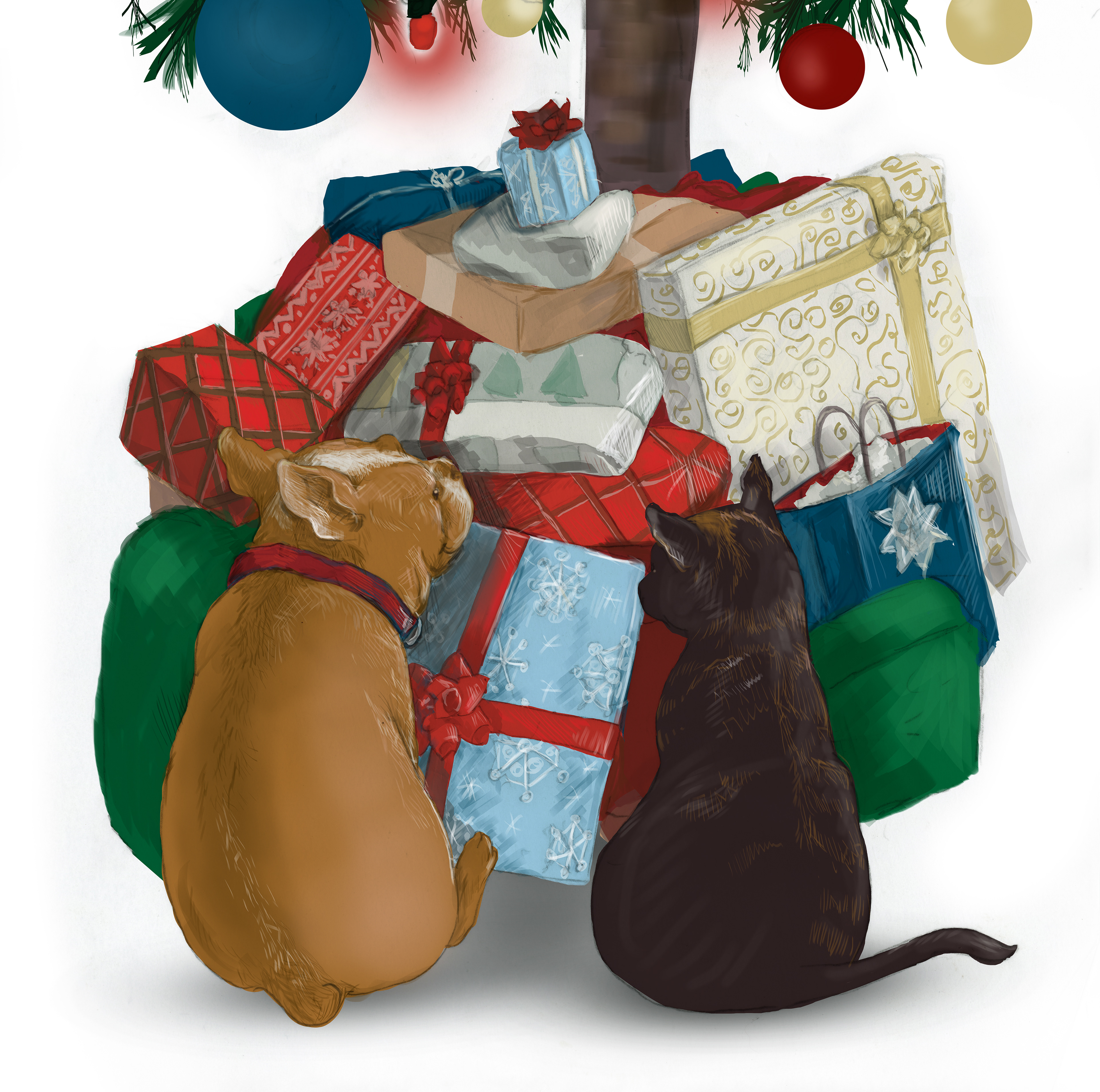 illustration