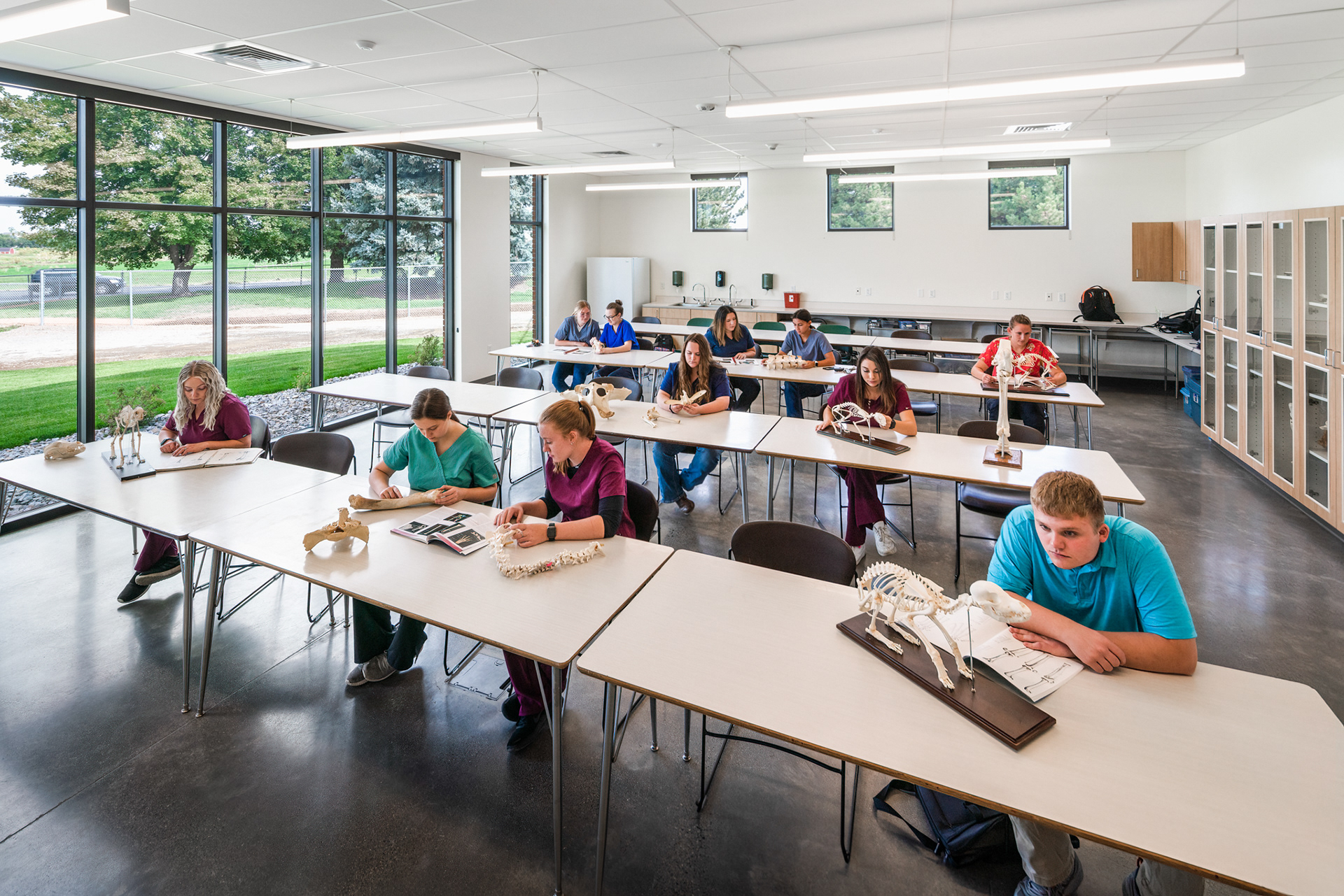 College of Southern Idaho Veterinary Technology - Twin Falls, Idaho - Pivot North Architecture, Animal Arts, Starr Corp