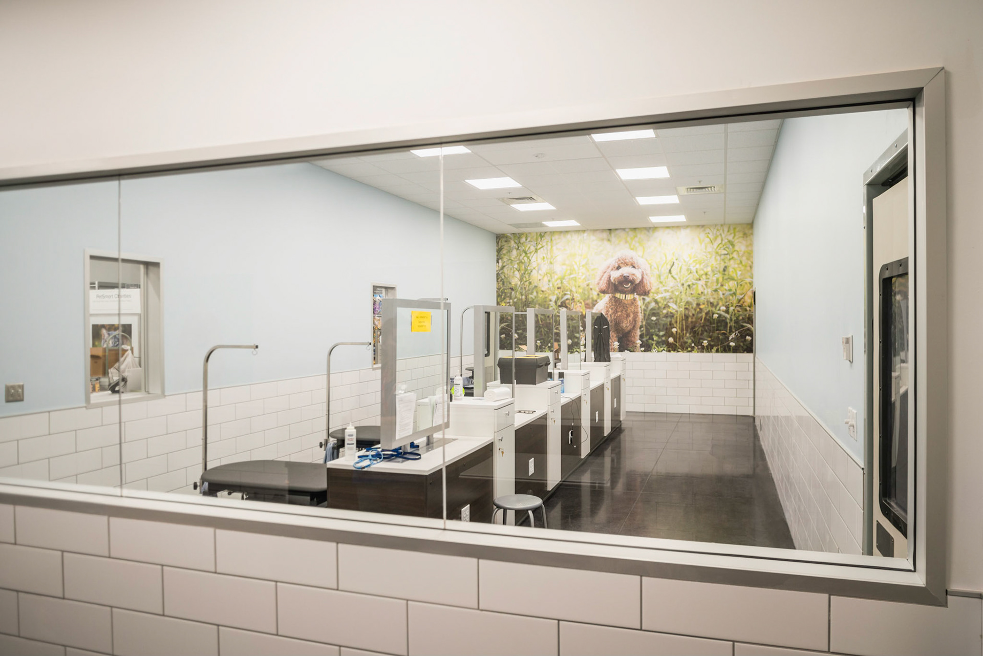 Petco, Utah - Steed Construction