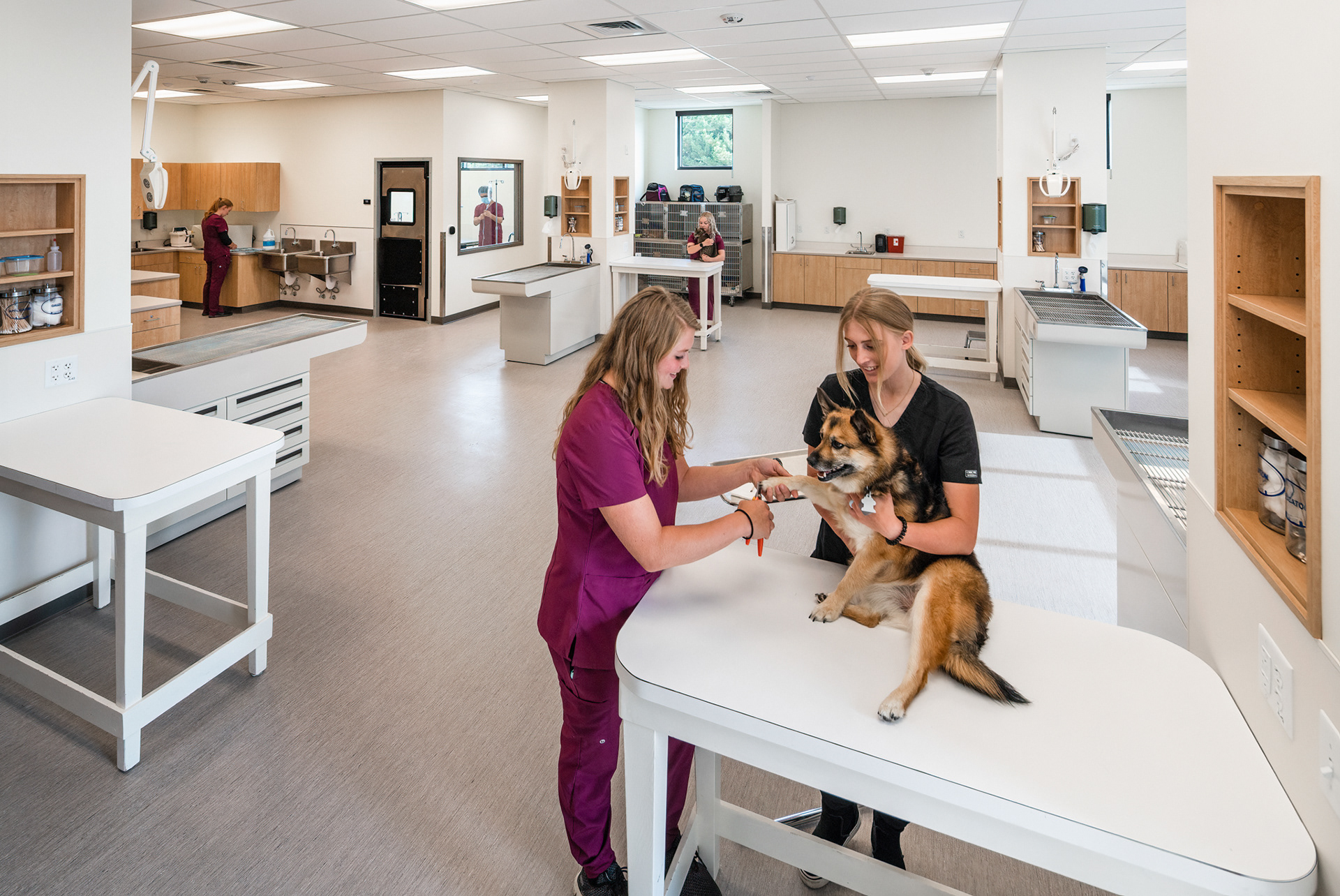 College of Southern Idaho Veterinary Technology - Twin Falls, Idaho - Pivot North Architecture, Animal Arts, Starr Corp