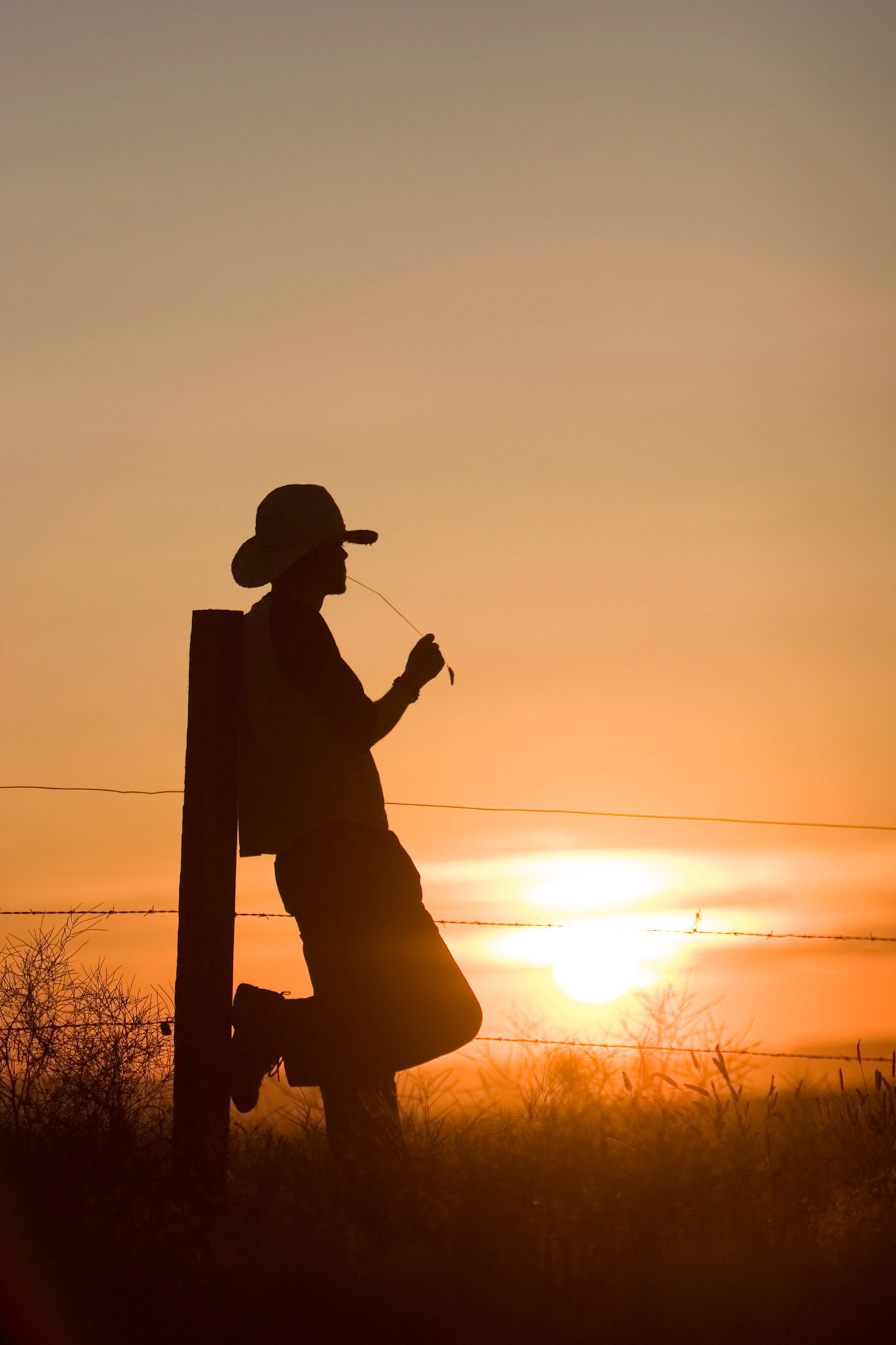 Cowboy Silhouette, Melba, Idano
