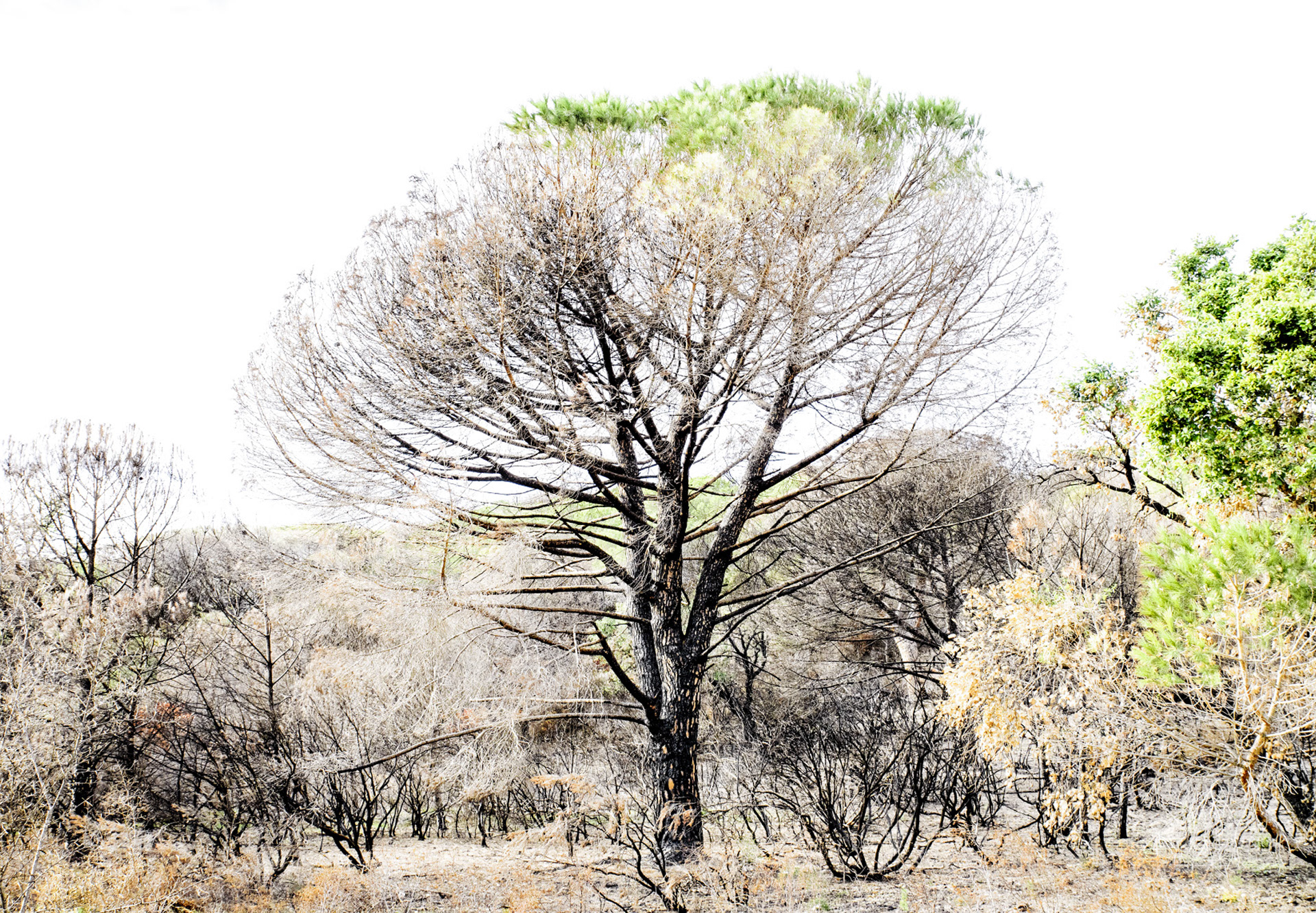 Collines charbon #Extralight10. Tirage fine art sur papier Kozo, contrecollé sur dibond, cadre acier rouillé : 100 x 70 cm