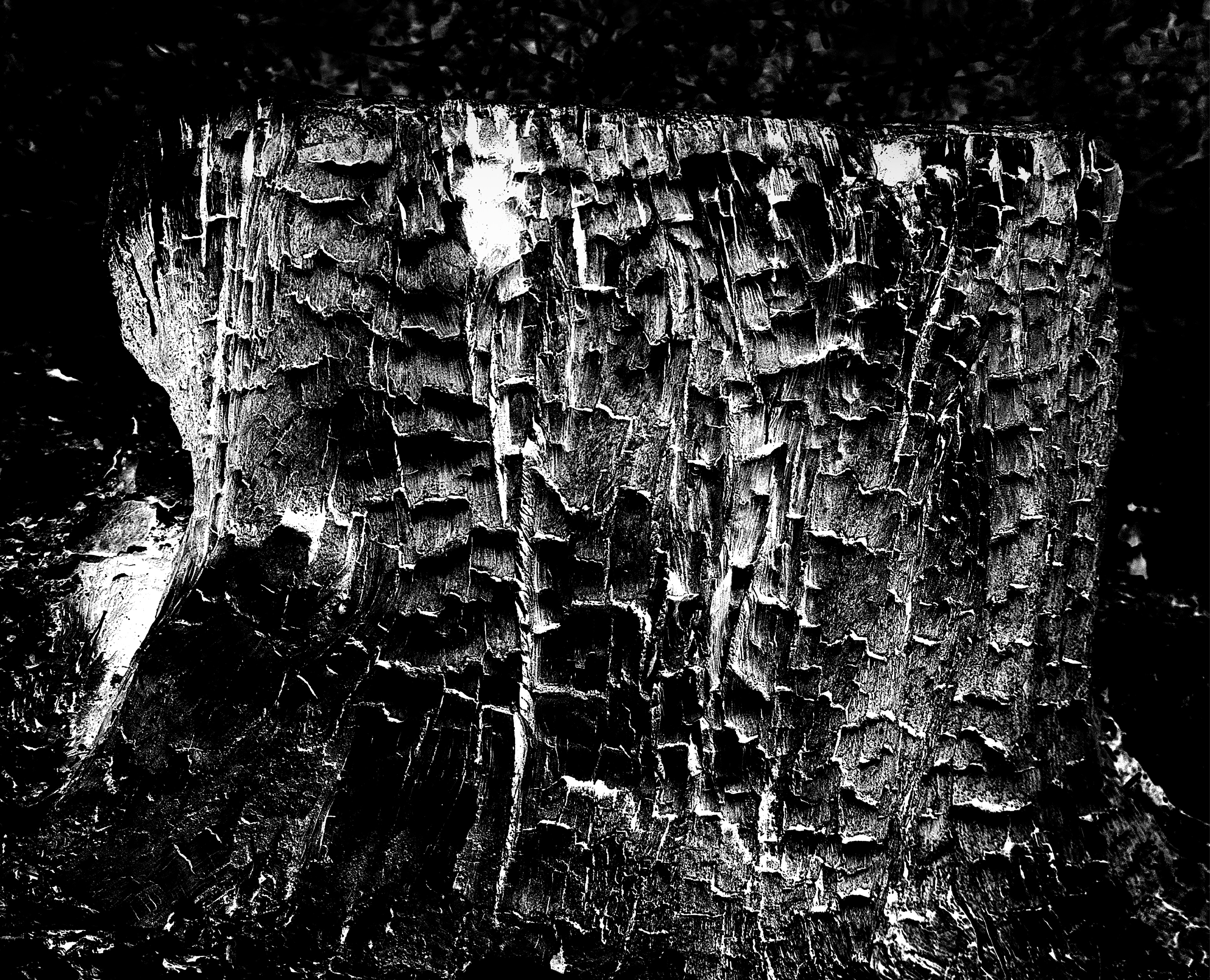 Collines charbon #L’écorce3. Installation photographique : tirage direct sur dibond aluminium brossé, sur cadre bois noir mat affleurant, horizontal : 53,6x42,6 cm