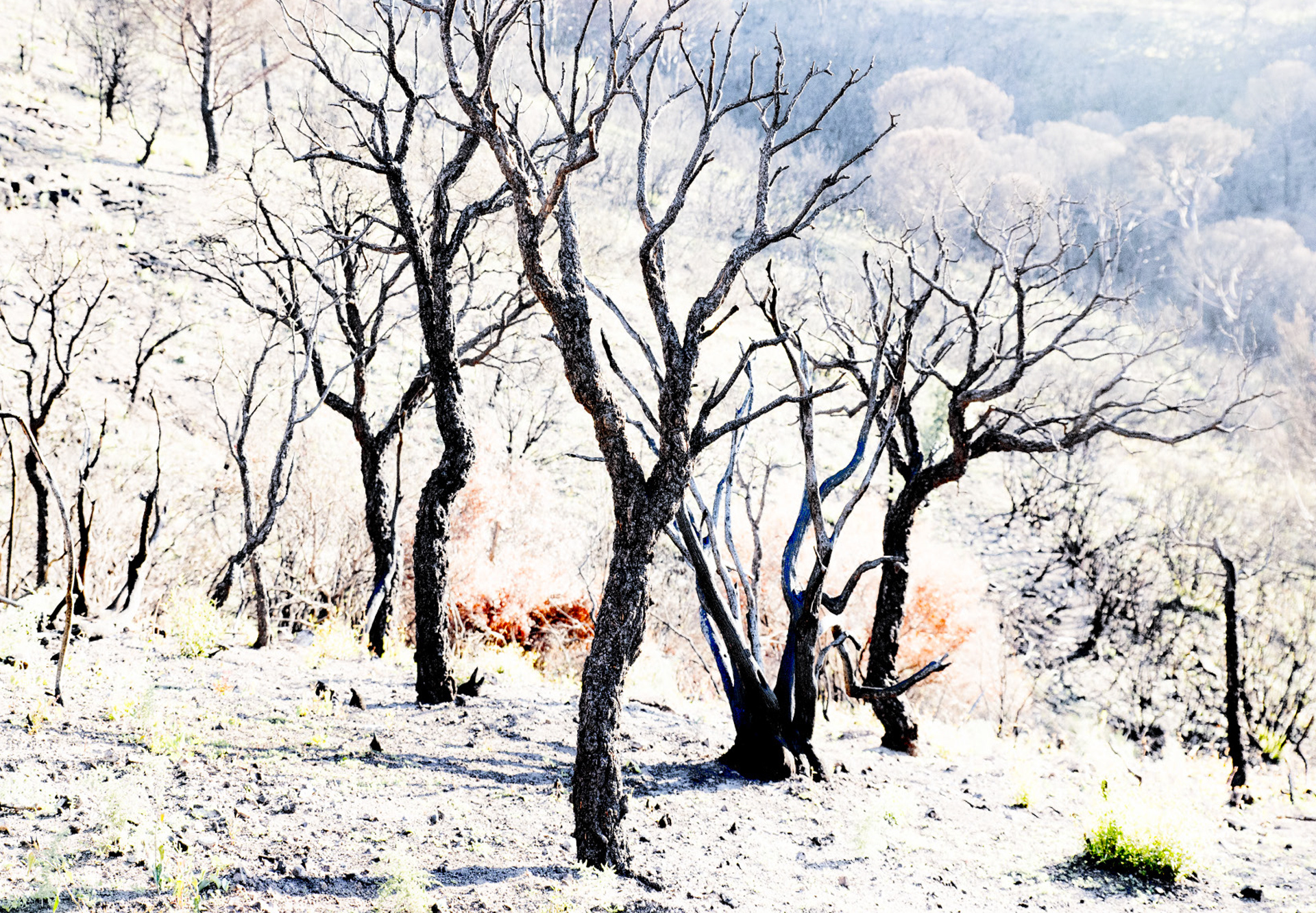 Collines charbon #Extralight11. Tirage fine art sur papier Kozo, contrecollé sur dibond, cadre acier rouillé : 100 x 70 cm