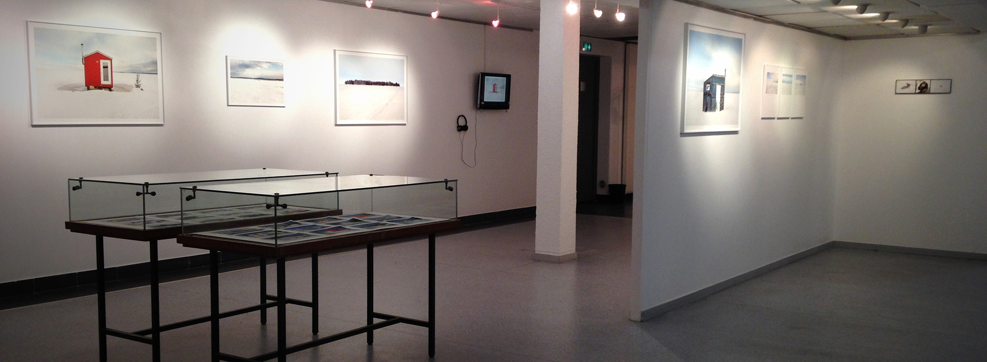 Exposition personnelle à la Galerie photographique Domus, Villeurbanne, 2017