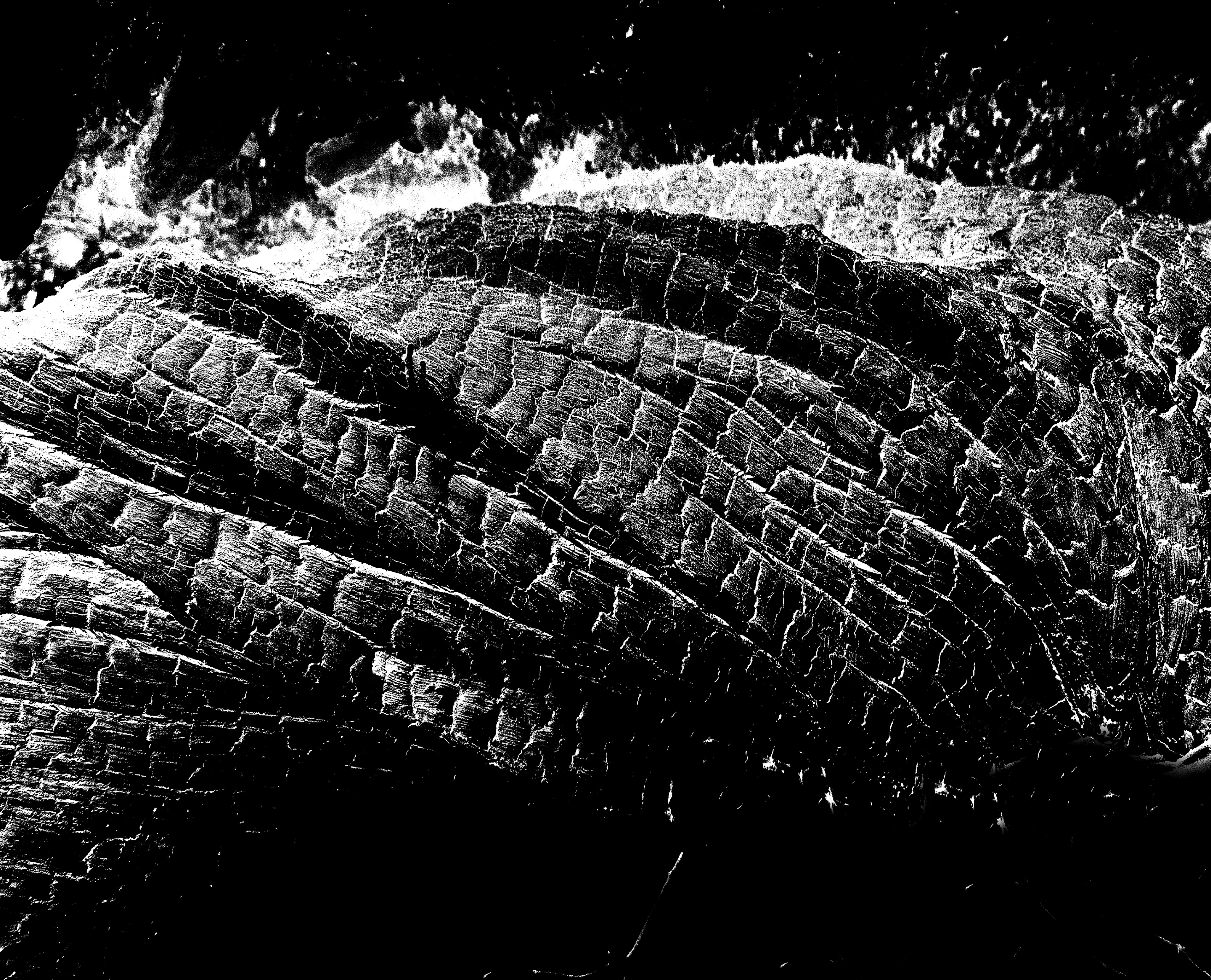 Collines charbon #L’écorce2. Installation photographique : tirage direct sur dibond aluminium brossé, sur cadre bois noir mat affleurant, horizontal : 53,6x42,6 cm