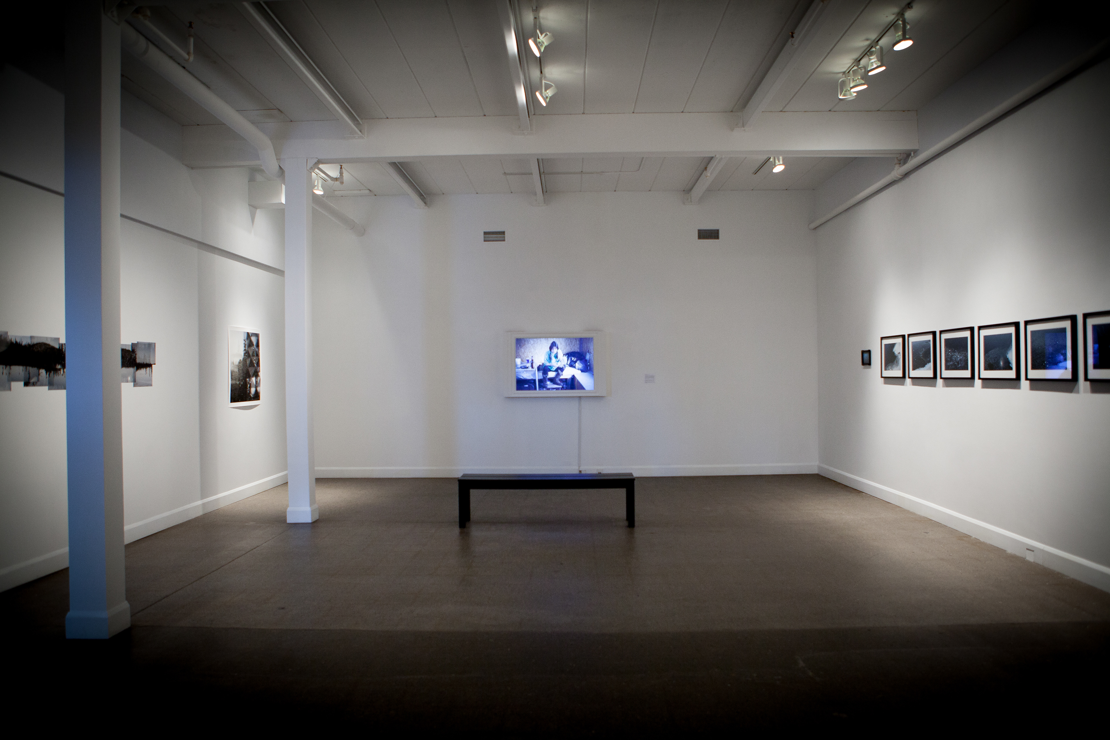 Exposition personnelle, Centre d'art actuel Langage Plus, Alma-Québec, 2015