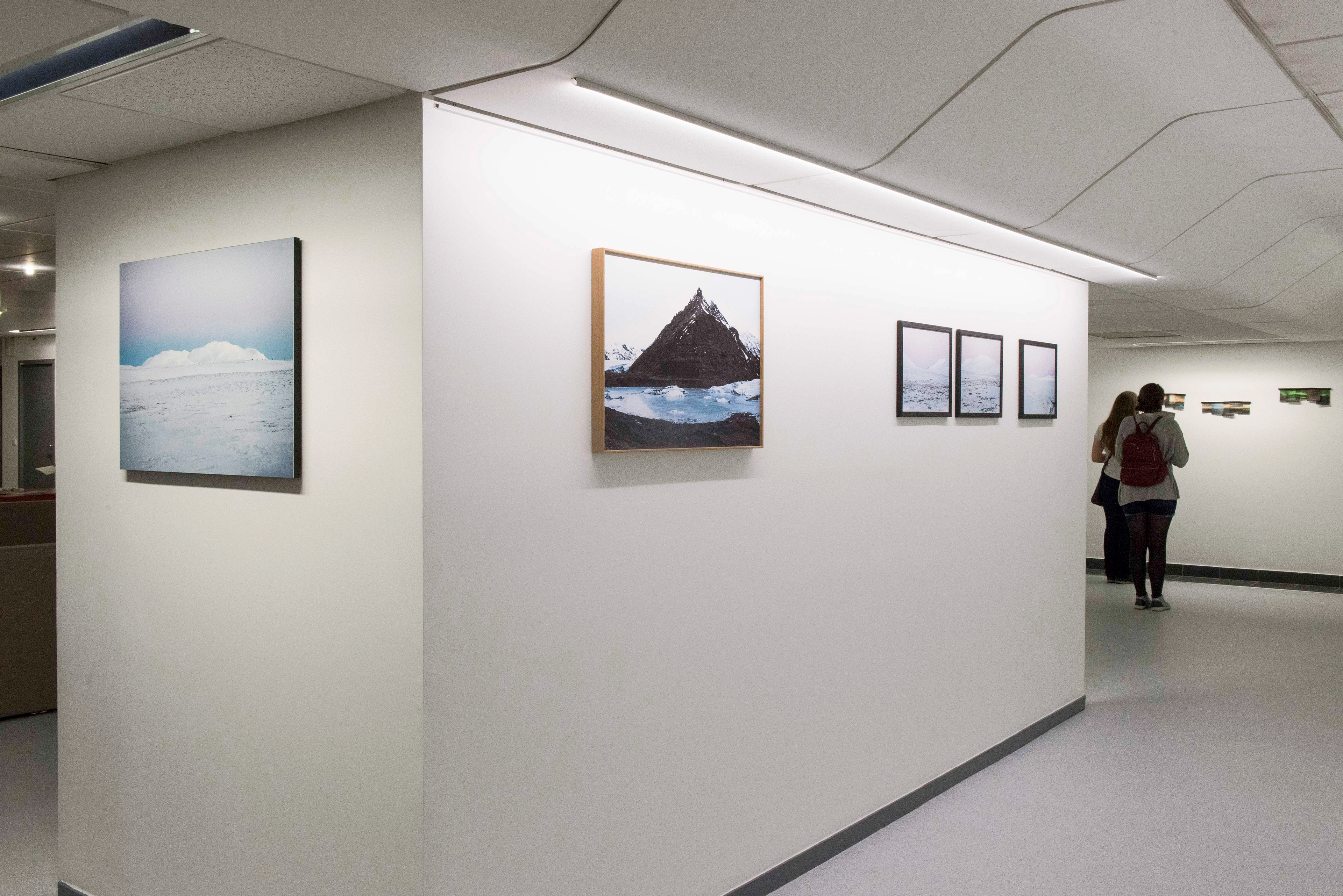Exposition personnelle à la Galerie photographique Domus, Villeurbanne - 2019