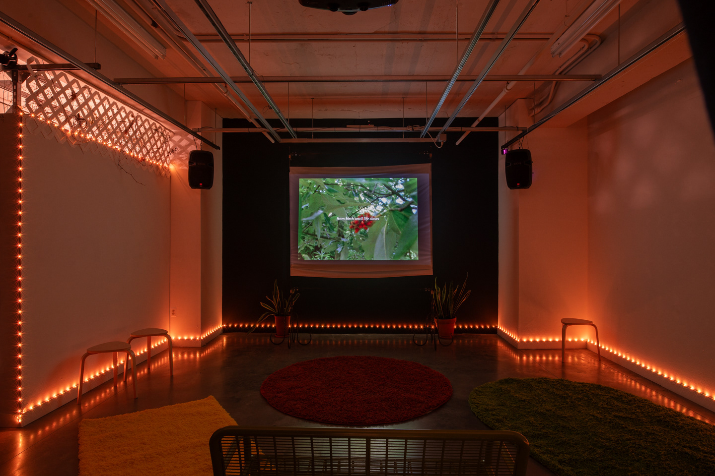 Avant Gardens Screening Room