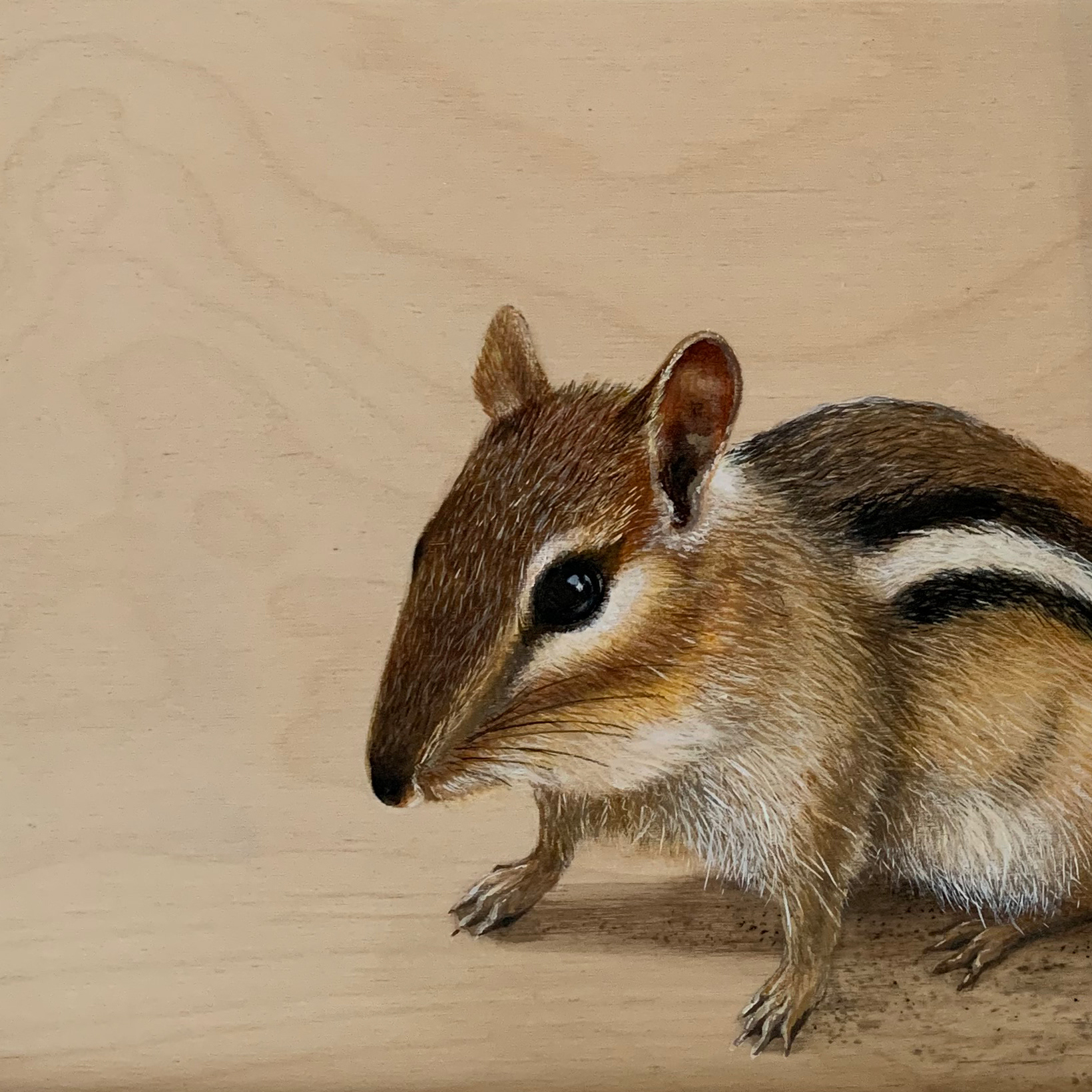 SOLD – Chipmunk, 8"x8", Acylic on wood