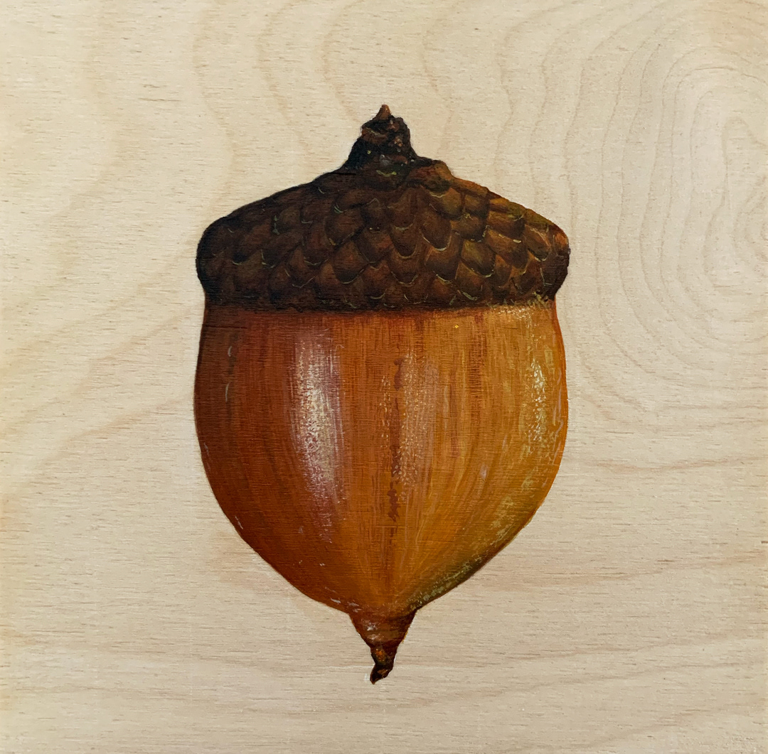 SOLD – Little Oak, 8"x8", Oil on wood