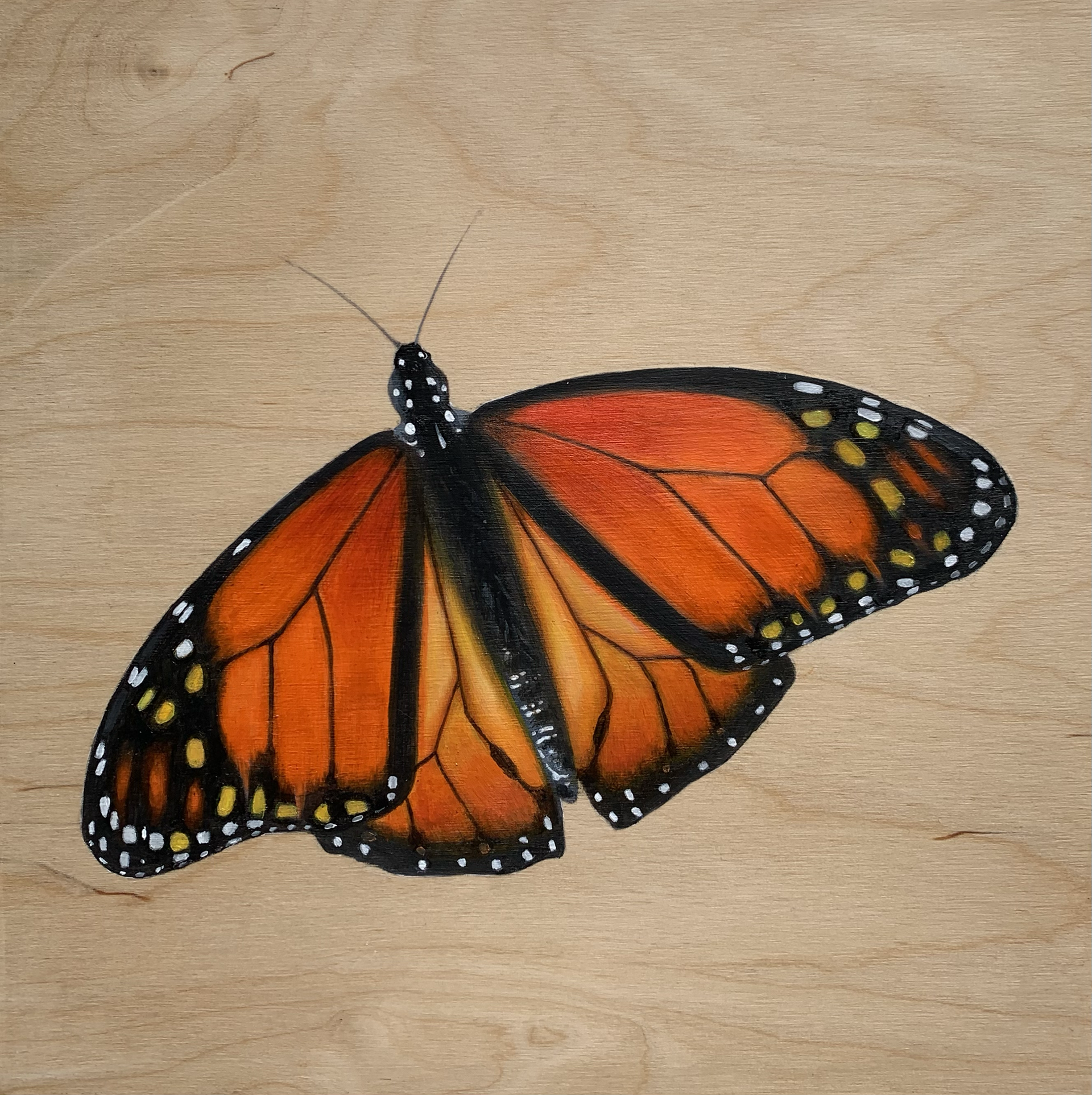 SOLD – Delicate Perserverance, 8"x8", Oil on wood