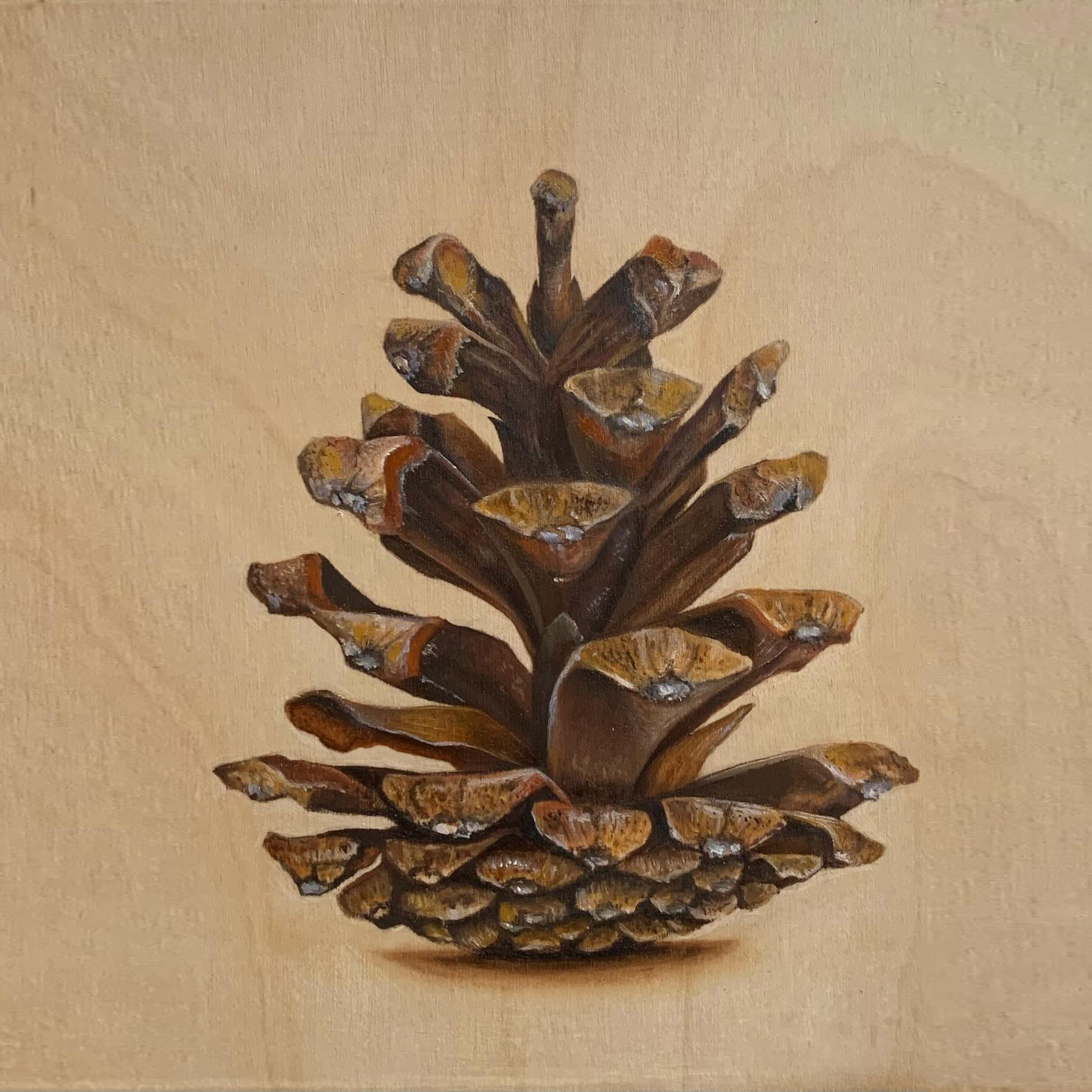 SOLD – Cocette, 8"x8", Oil on wood