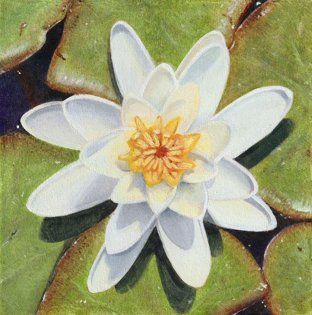 Muskoka Arts & Crafts – Muskoka Lily, 8x8, oil on wood, $200