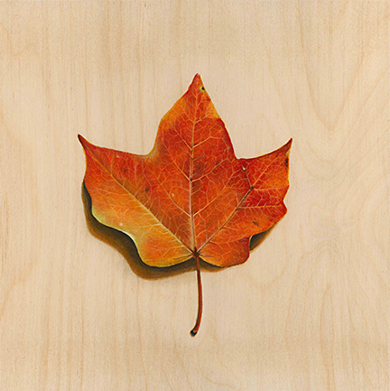 Season of Change, 10x10, Acrylic on wood, $350
