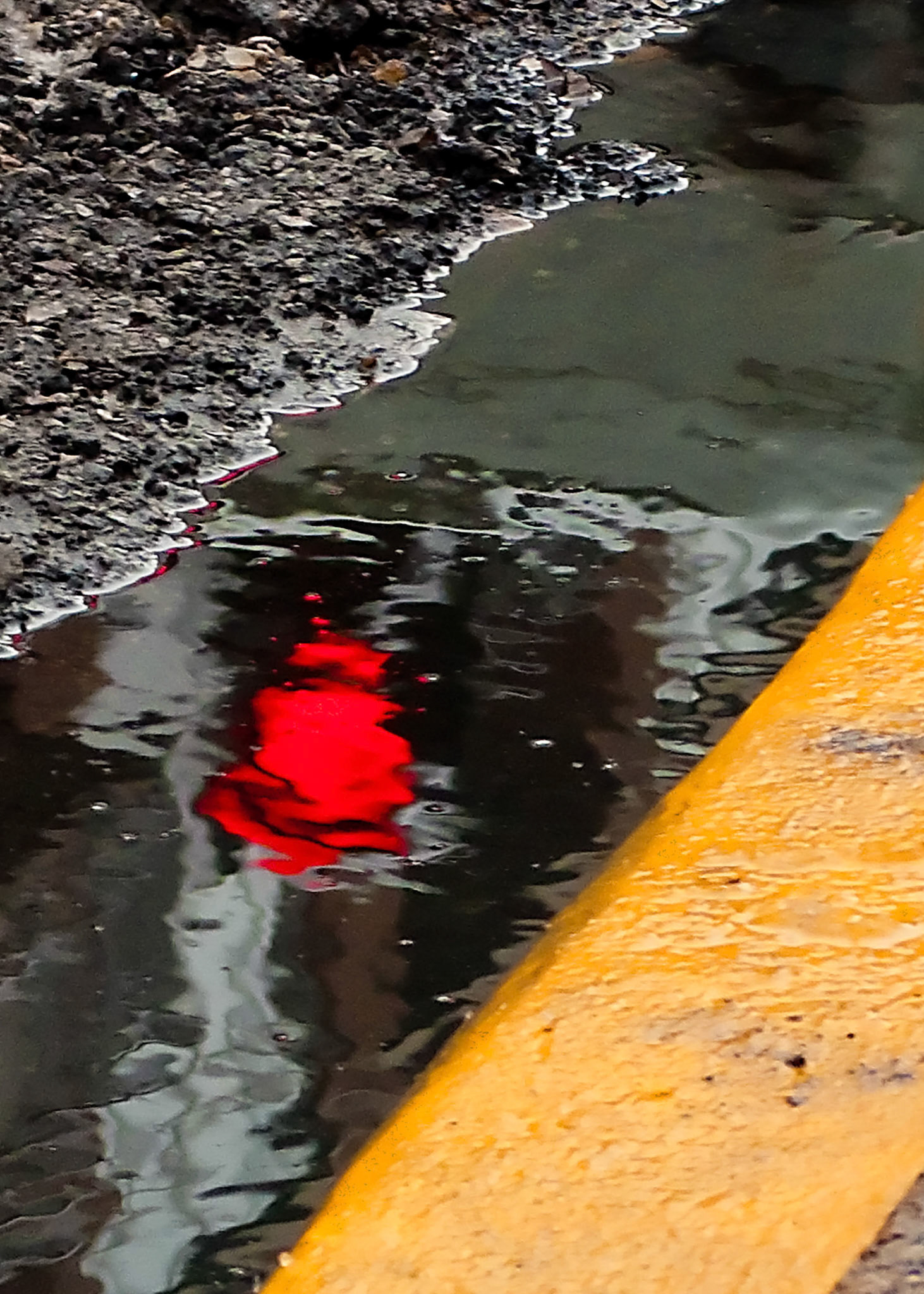 Stop at the Curb Puddle