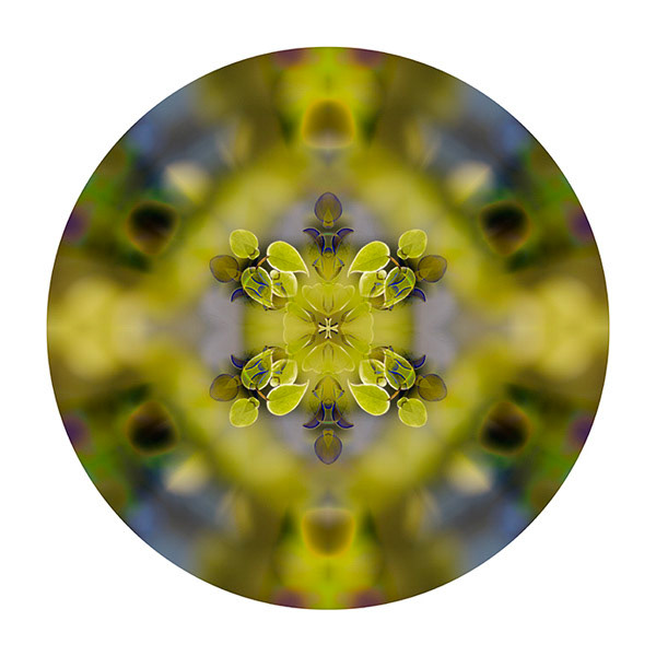 Leaf_003