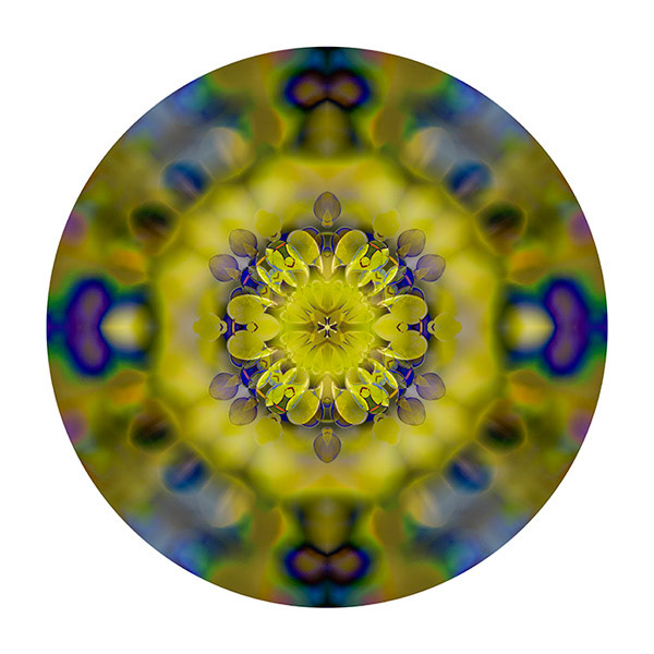 Leaf_002