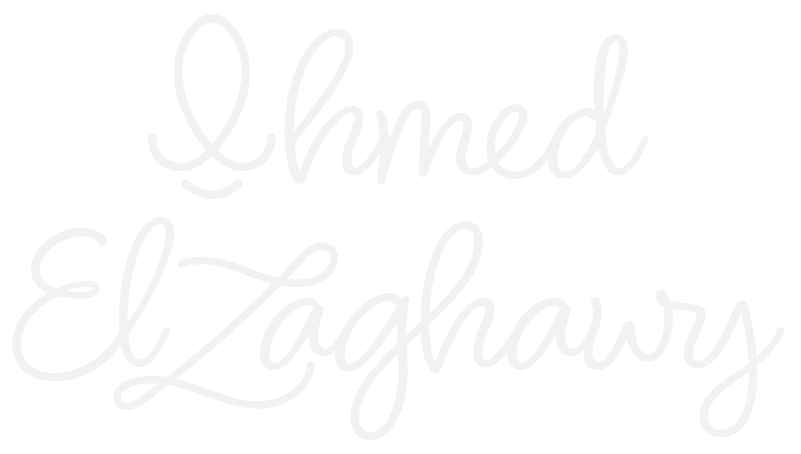Ahmed Elzaghawy