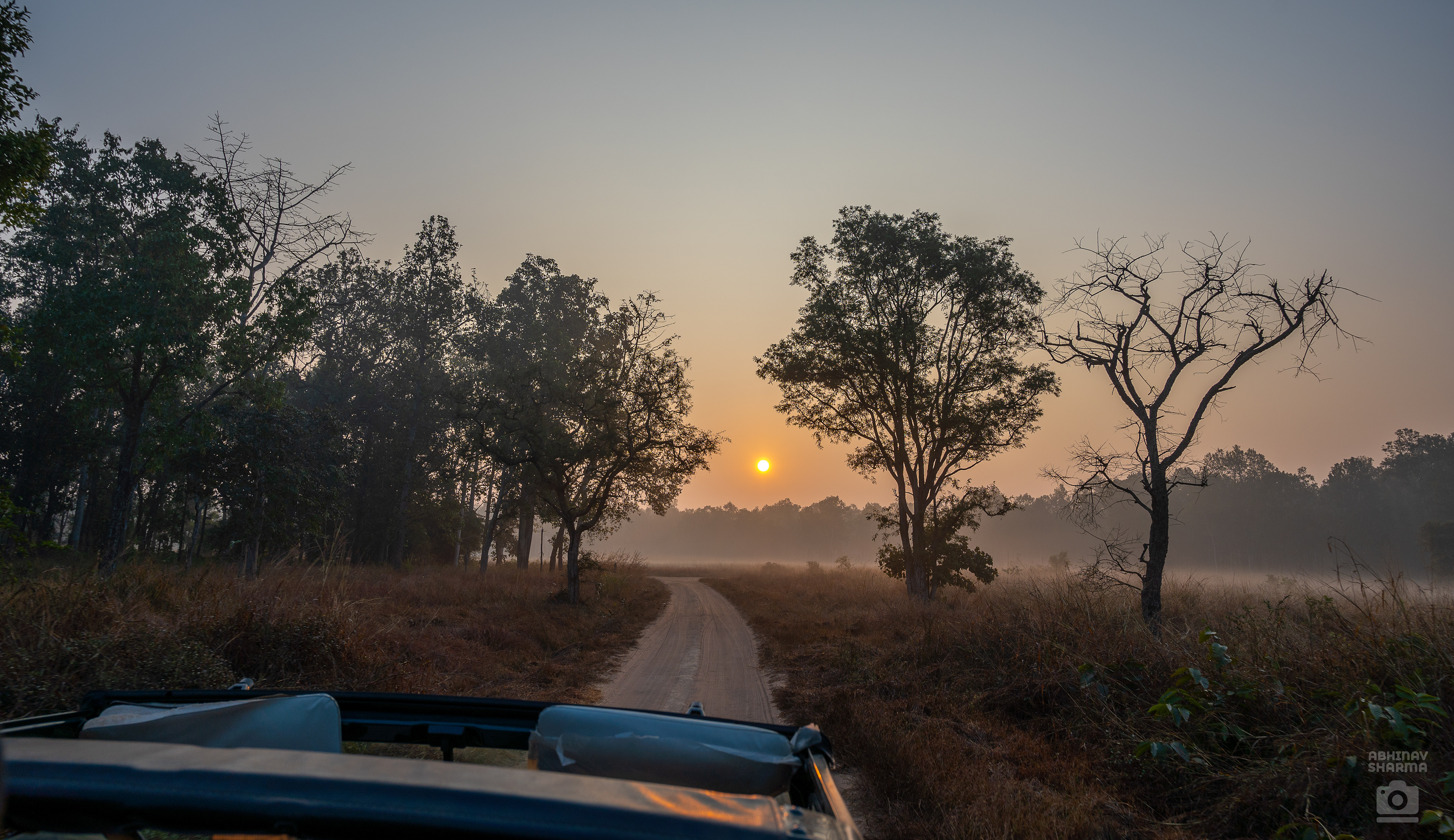 Foggy morning at Bandhavgarh, India