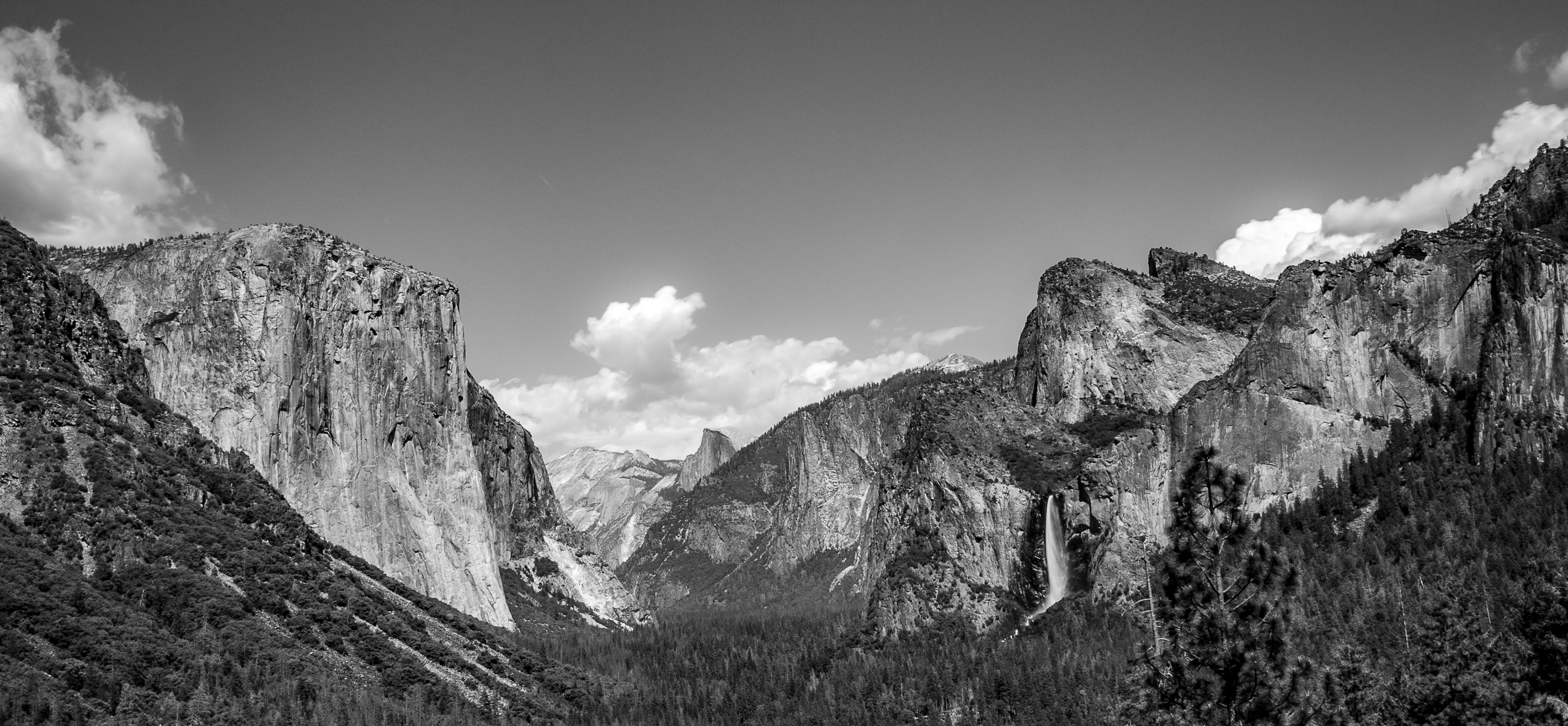 One for Ansel Adams, Yosemite