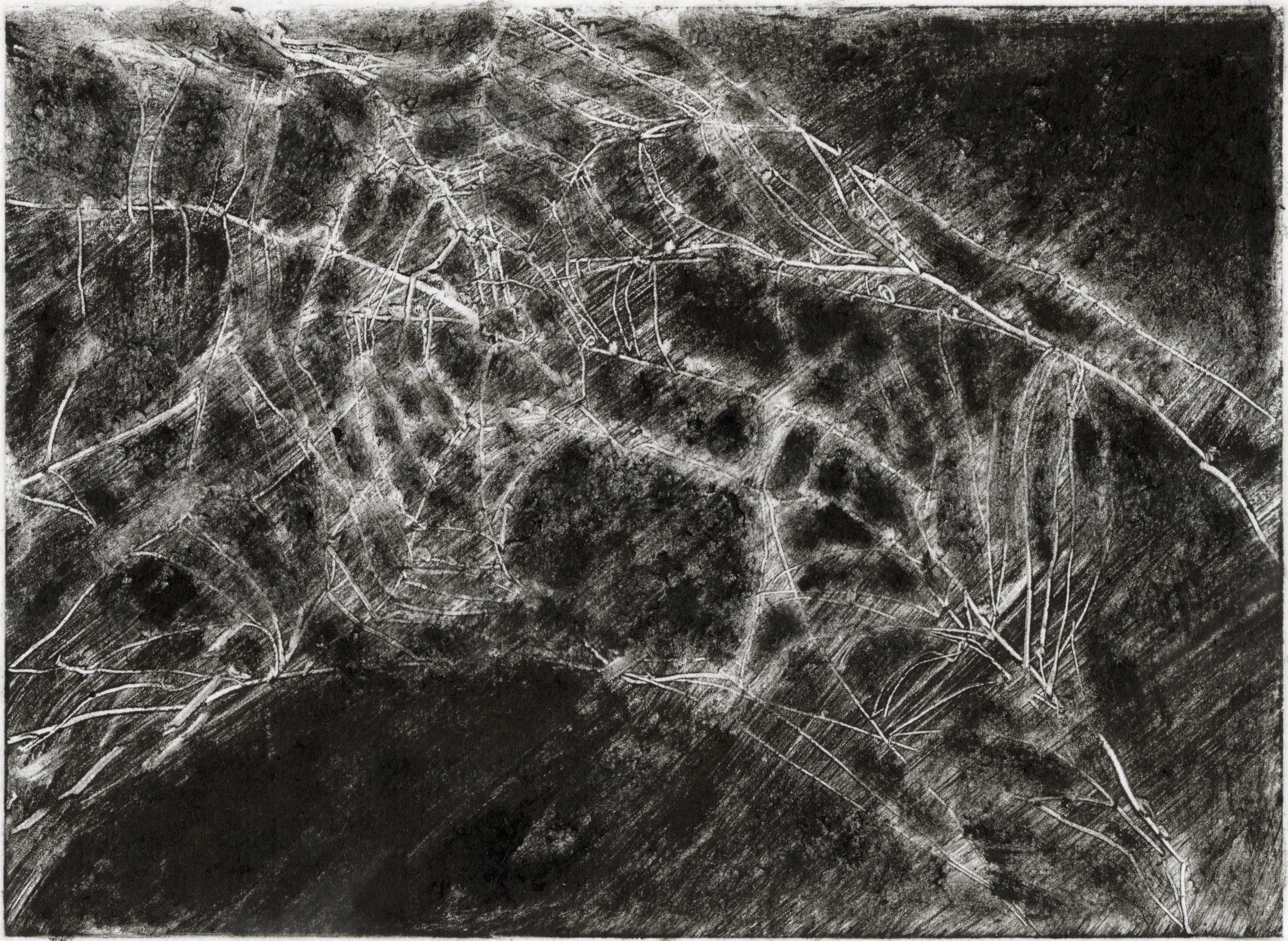 Dew, 2024. Monotype print on paper. 20 x 30 cm.
