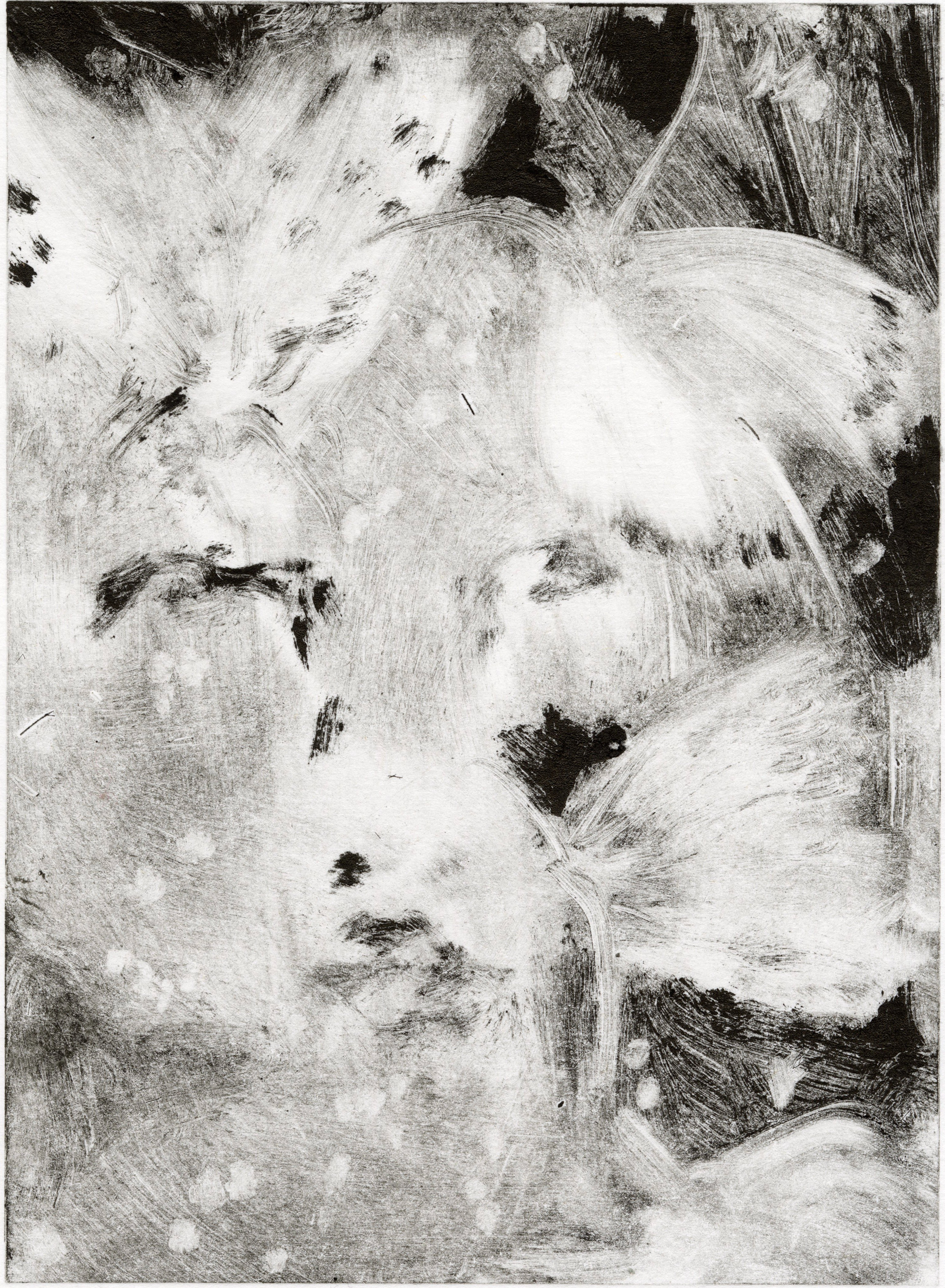 Moth Face, 2024. Monotype print on paper. 20 x 30 cm.
