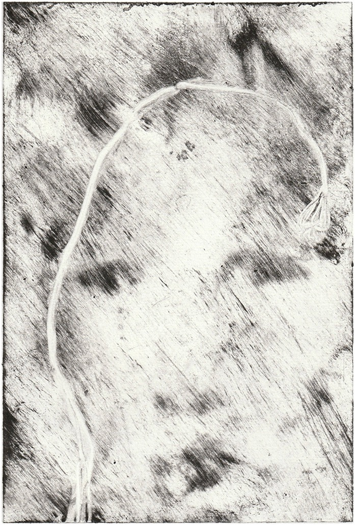 I cry as the earth cries, 2024. Monotype print on paper. 20 x 30 cm.