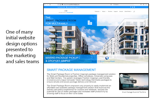 website design option for presentation