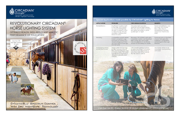 circadian zirclight horse lighting brochure design