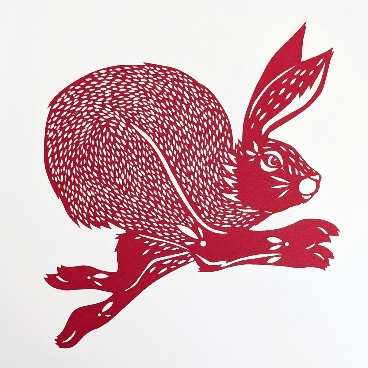 Run Rabbit by Elizabeth Goss