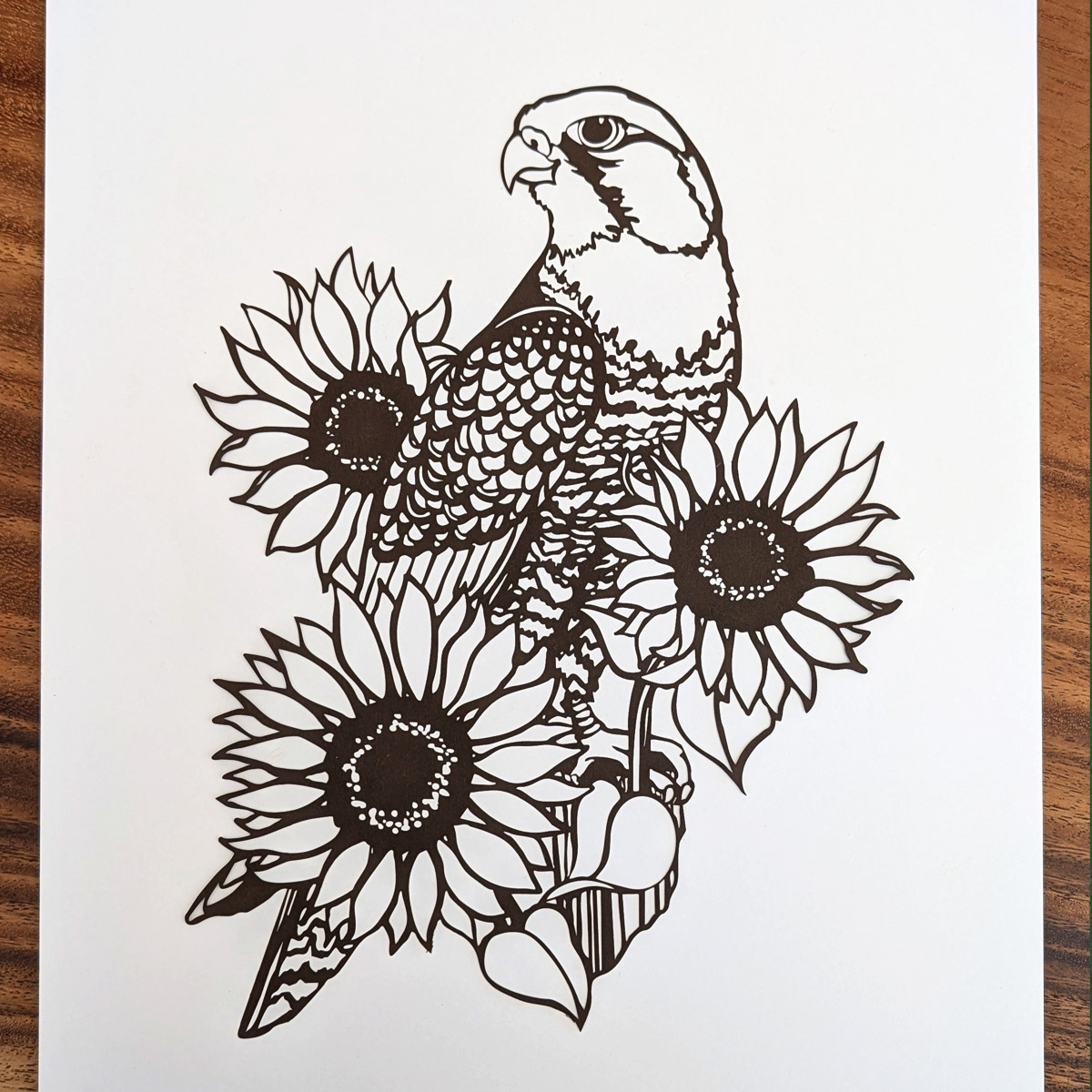 Falcon Flower by Elizabeth Goss