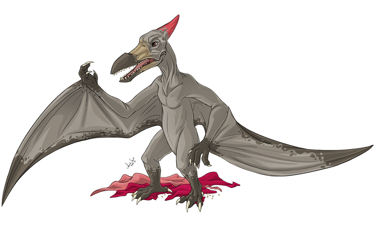 Amanda Scopel Pterosaur Transformation