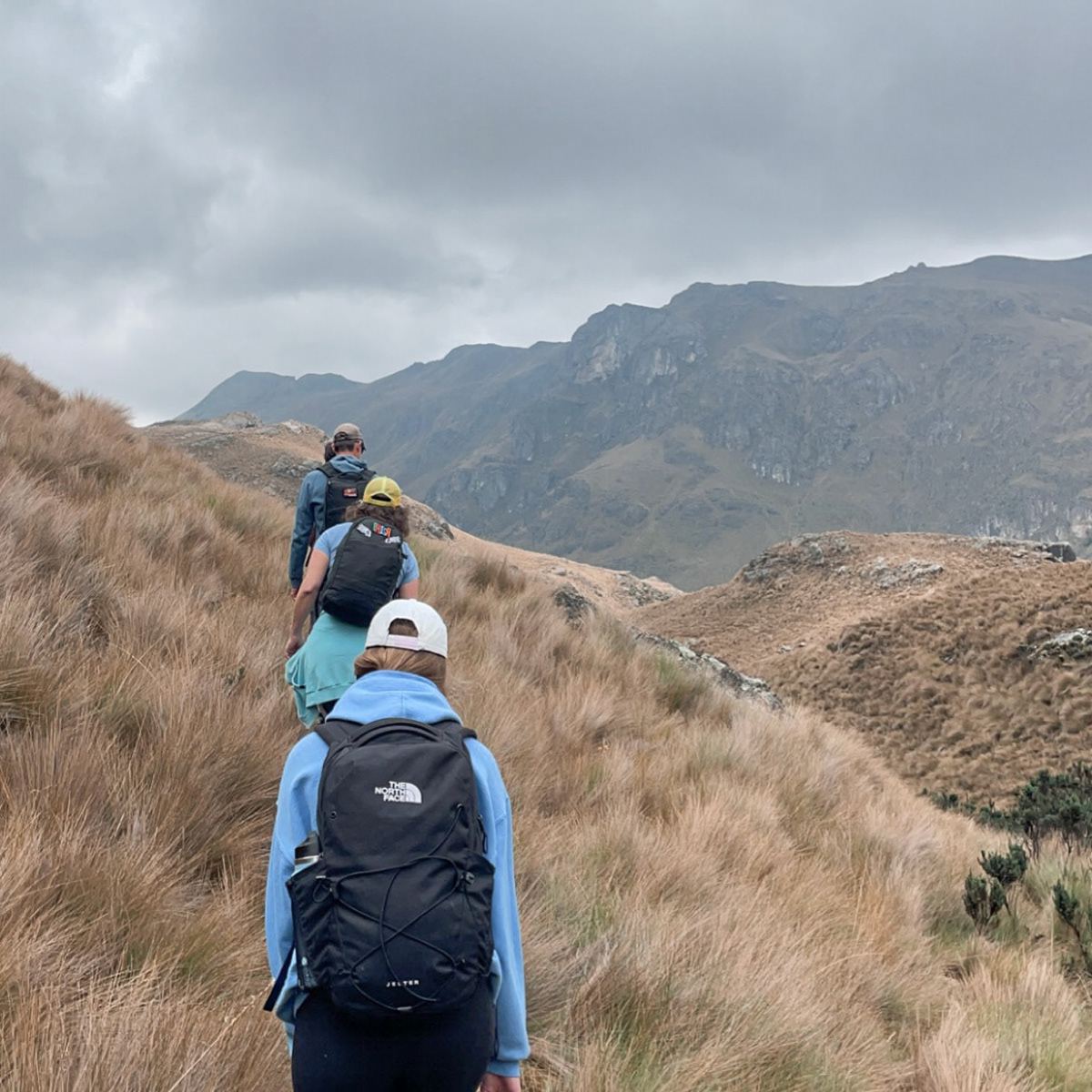 Los Andes, Ecuador