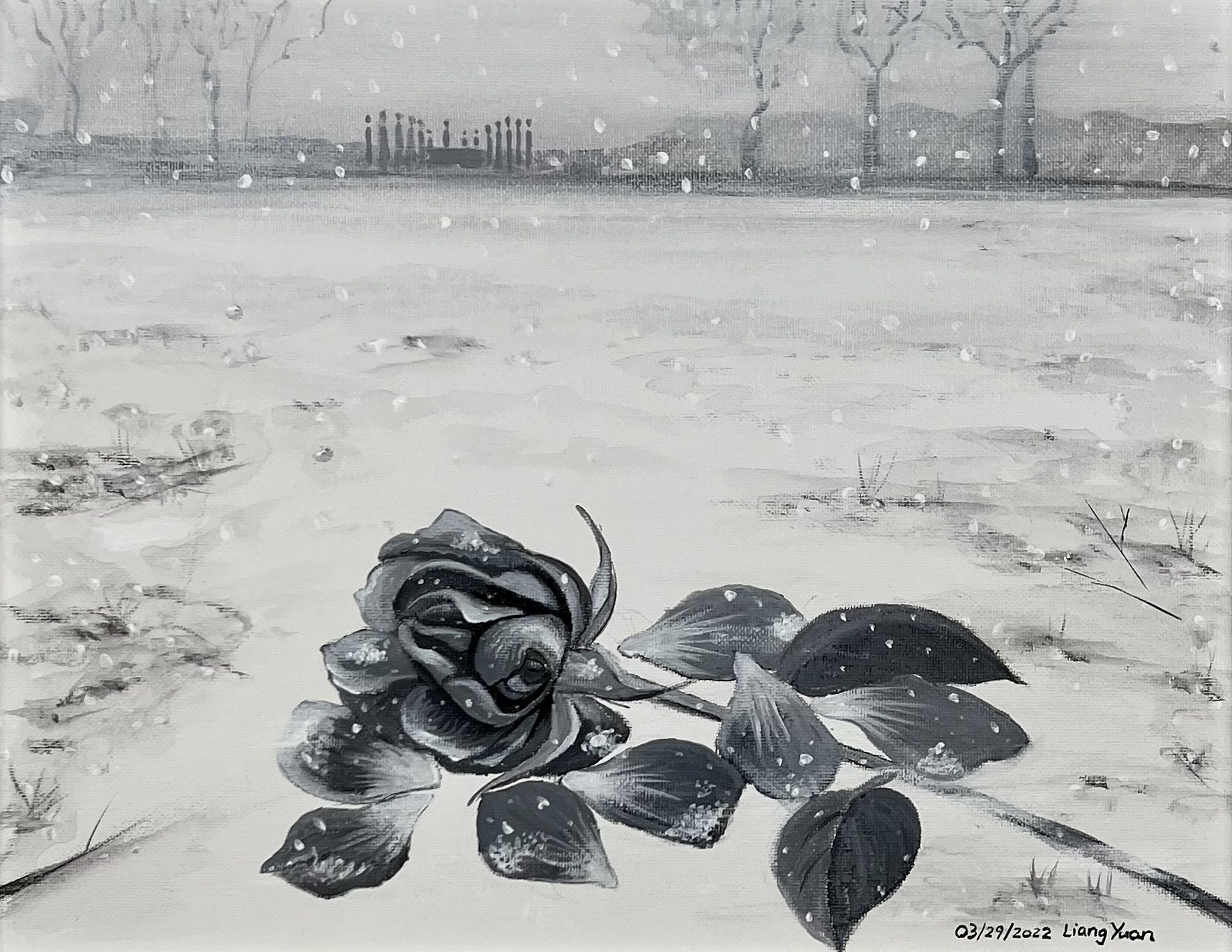 A Funeral of a Rose, Acrylic on Canvas, 11x14in 2022