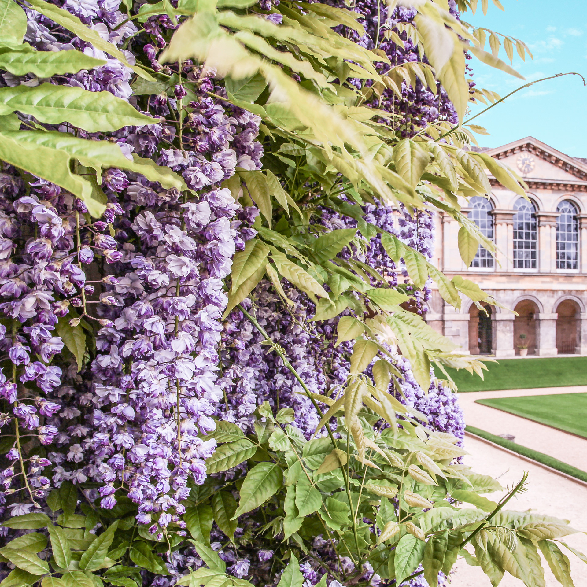 Worcester College, Oxford