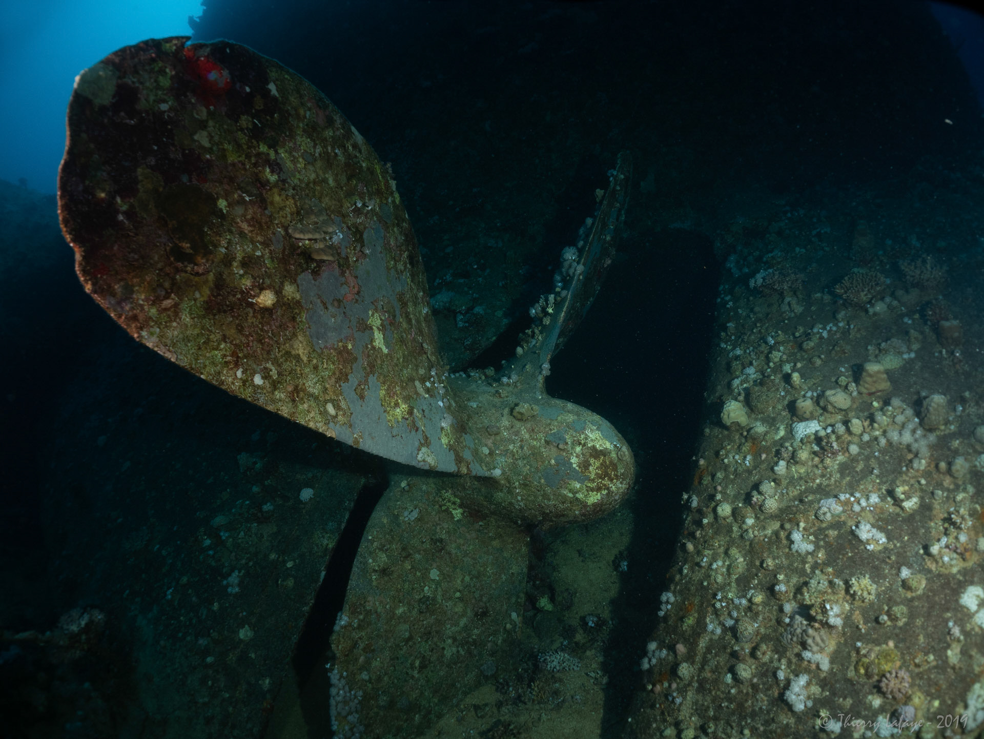 L’hélice du Chrisoula K 