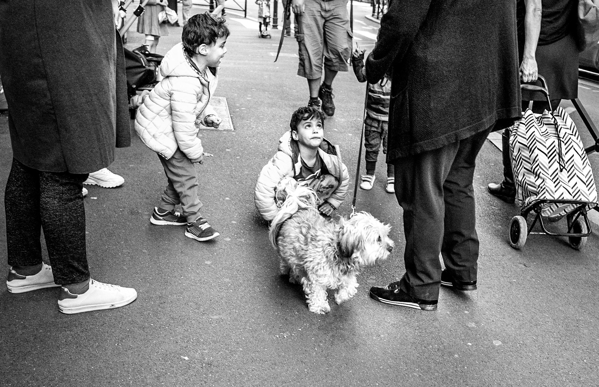 Boy and dog