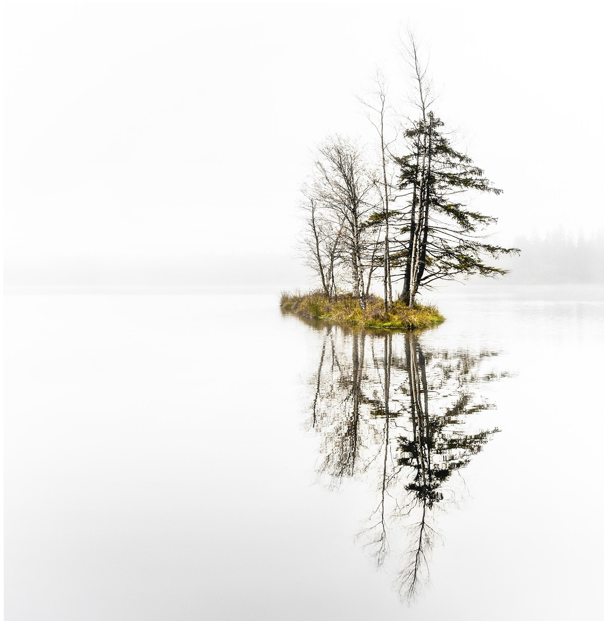 Kladská u Mariánských Lázní - Kladský rybník, pohled z naučné stezky