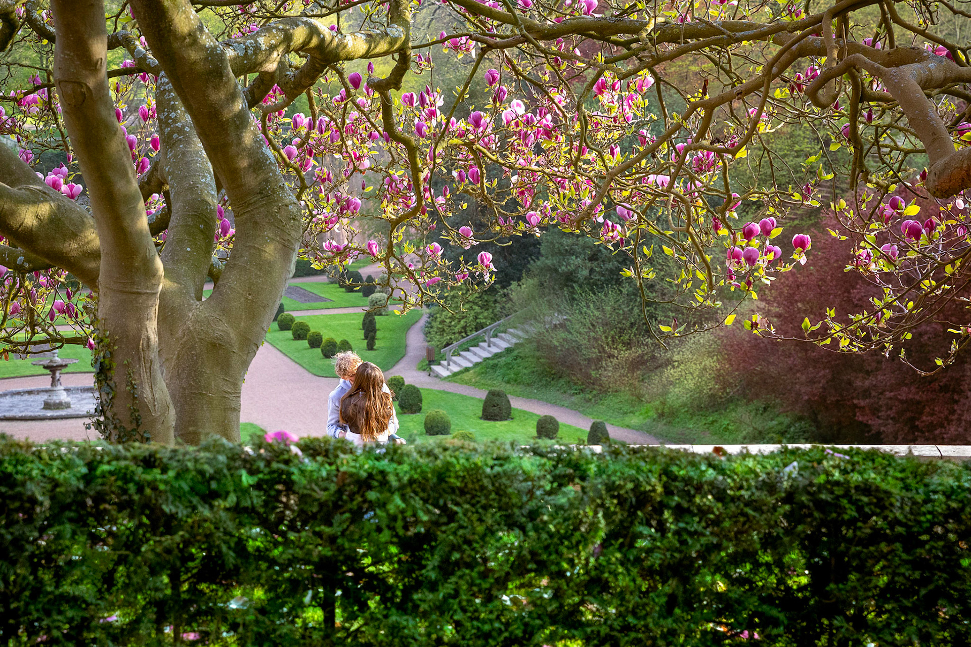Printemps - Couvrir de baisers - First kisses of spring