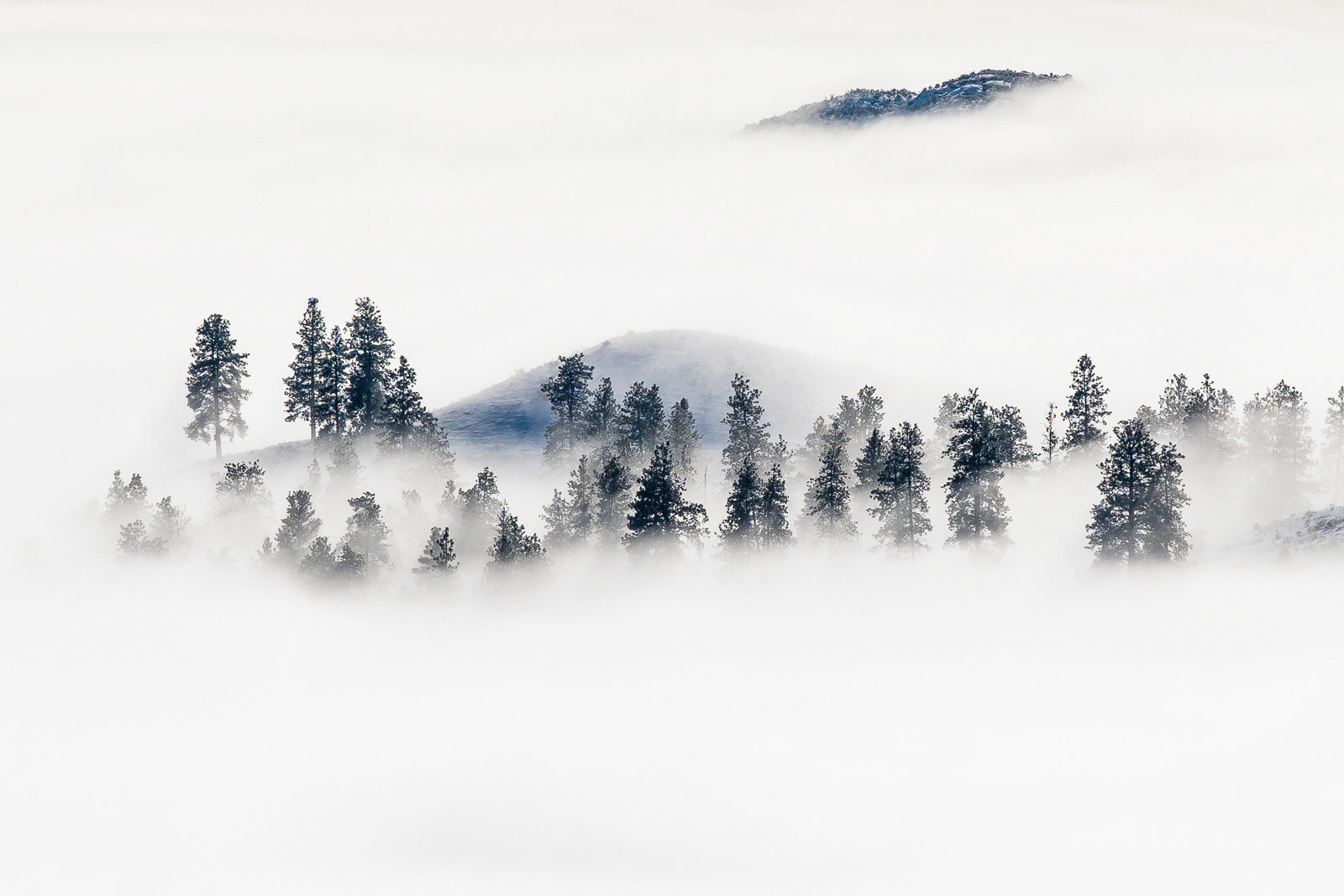 Inversion