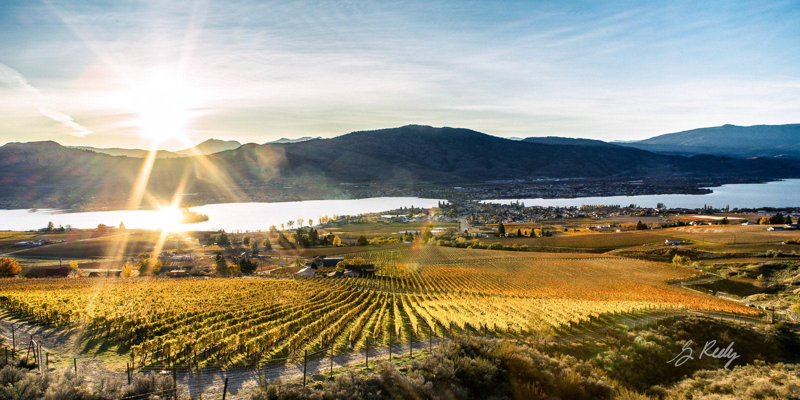 Osoyoos Sunset Vineyard