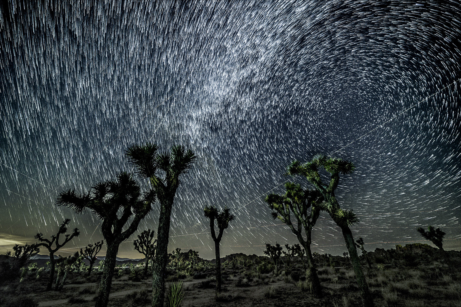Joshua Tree Star Trails