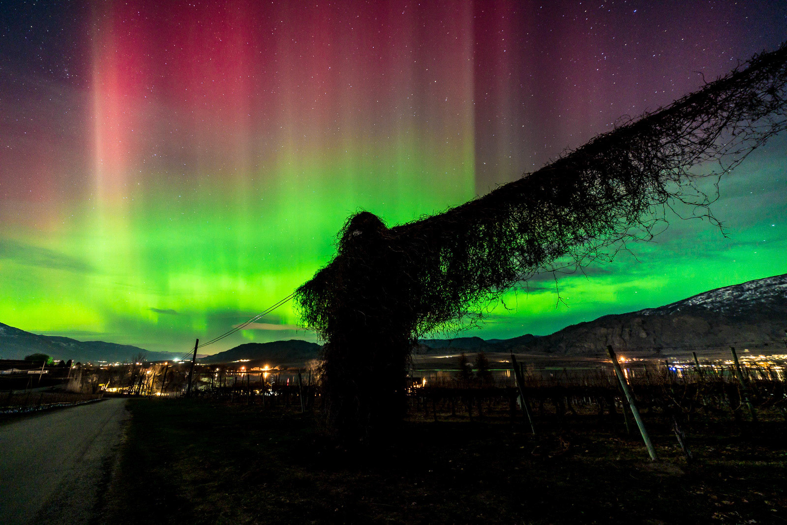 8x12 for Dan &amp; Diane