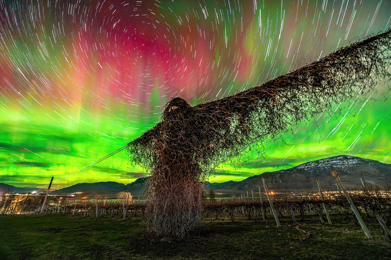 Aurora Star Trails Wire Man