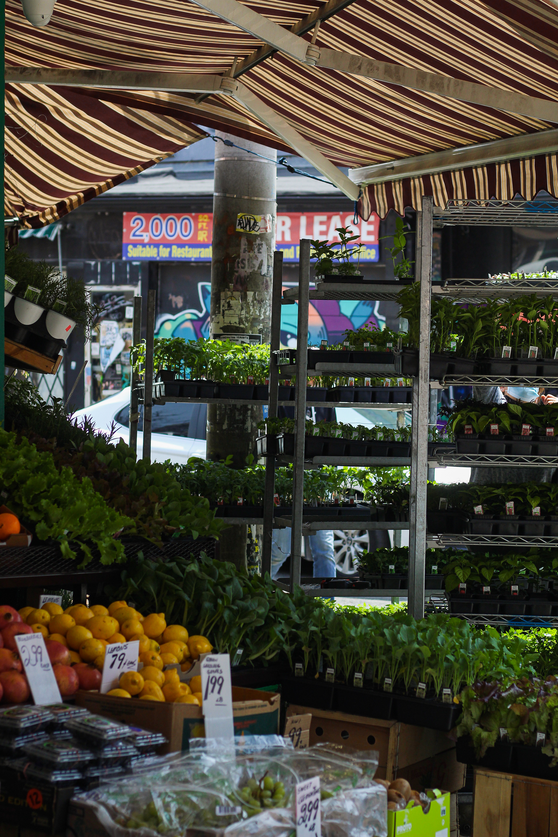 Out In The Market